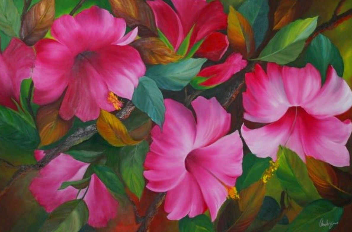 Fiori di ibisco rosa dipinti, 1188x784 HD, Desktop