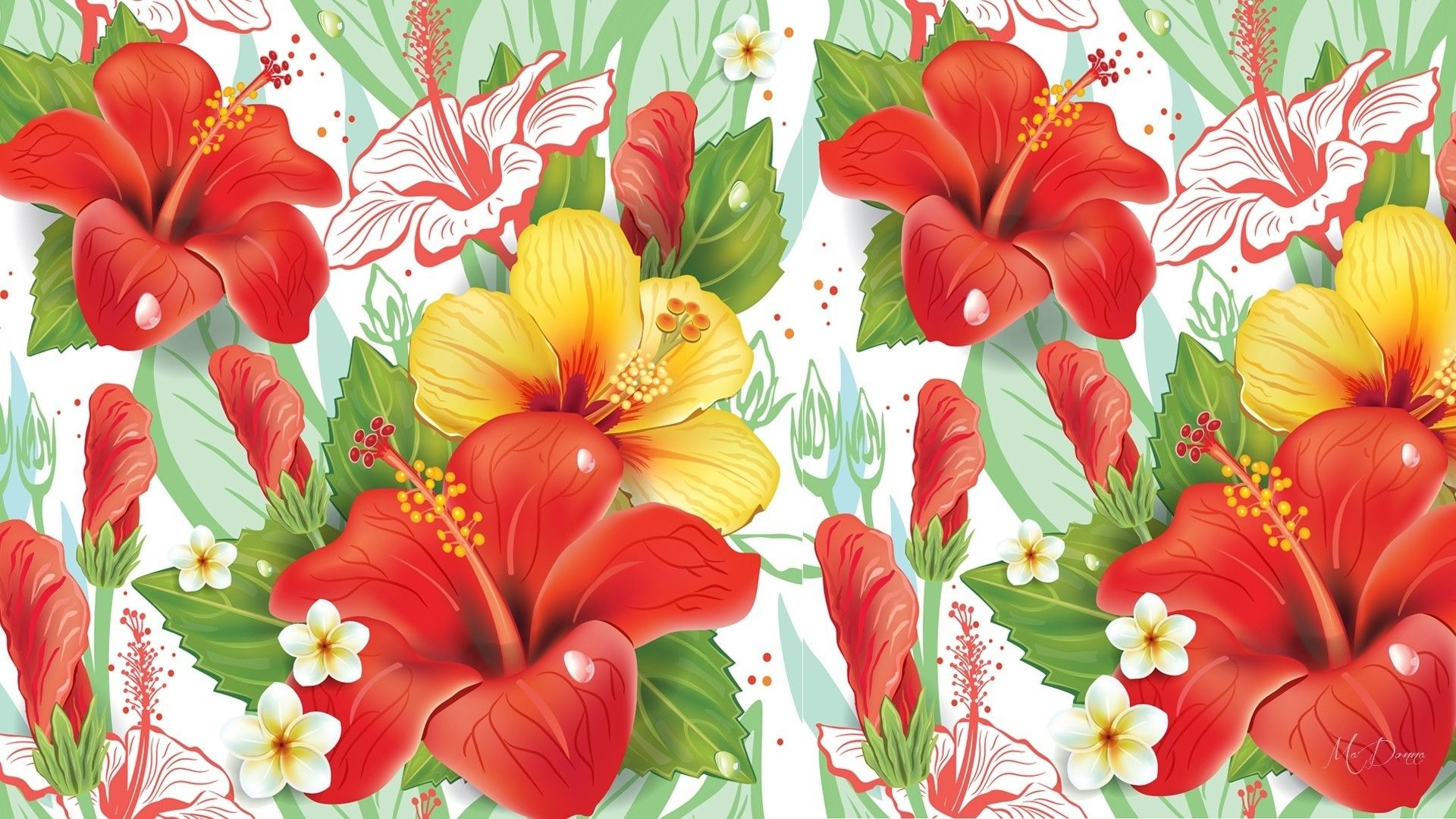 Fiori di ibisco rossi e gialli, 1920x1080 1080p, Desktop