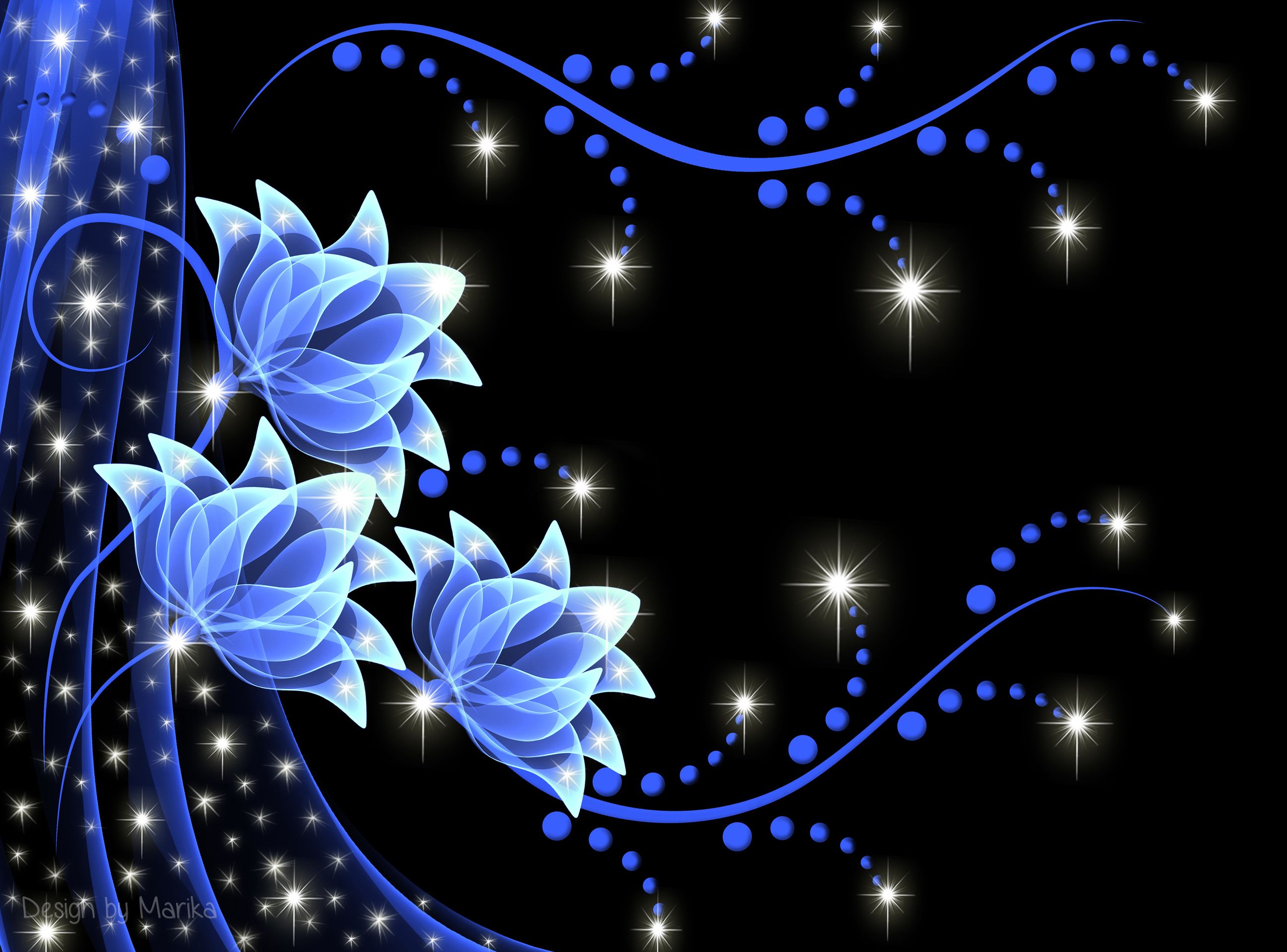 Fiori blu neon su nero, 2595x1920 WQXGA, PC