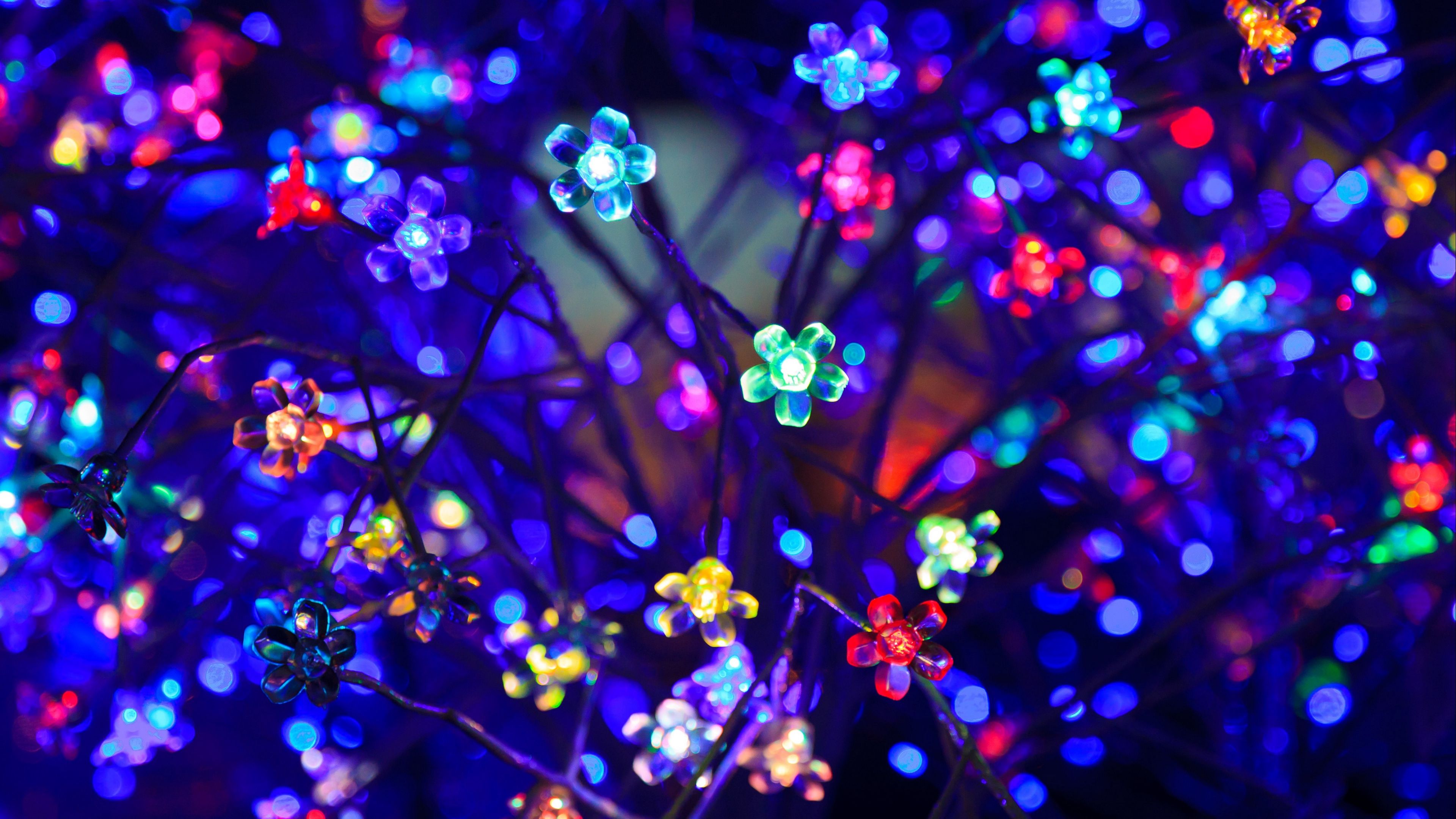 Fiori luminosi al neon colorati, 3840x2160 Ultra HD, 4K TV