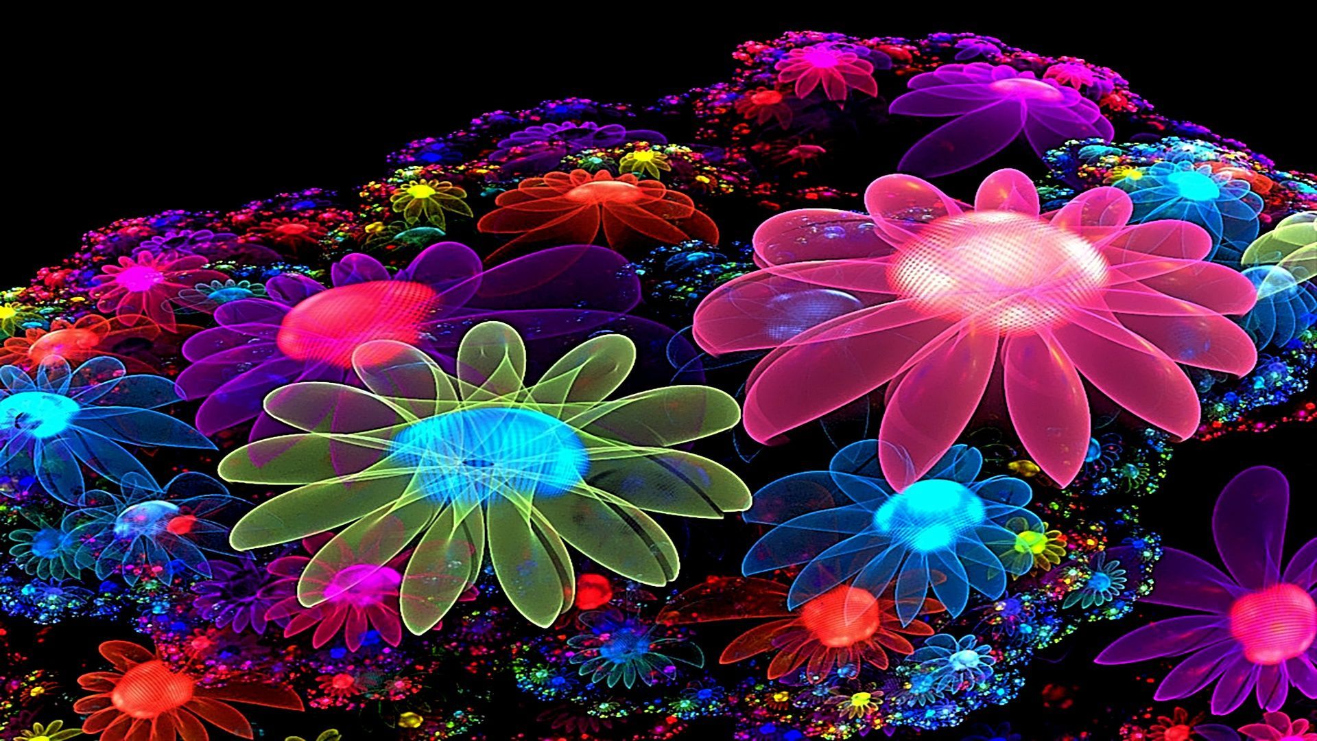 Fiori al neon multicolore, 1920x1080 Full HD, Laptop