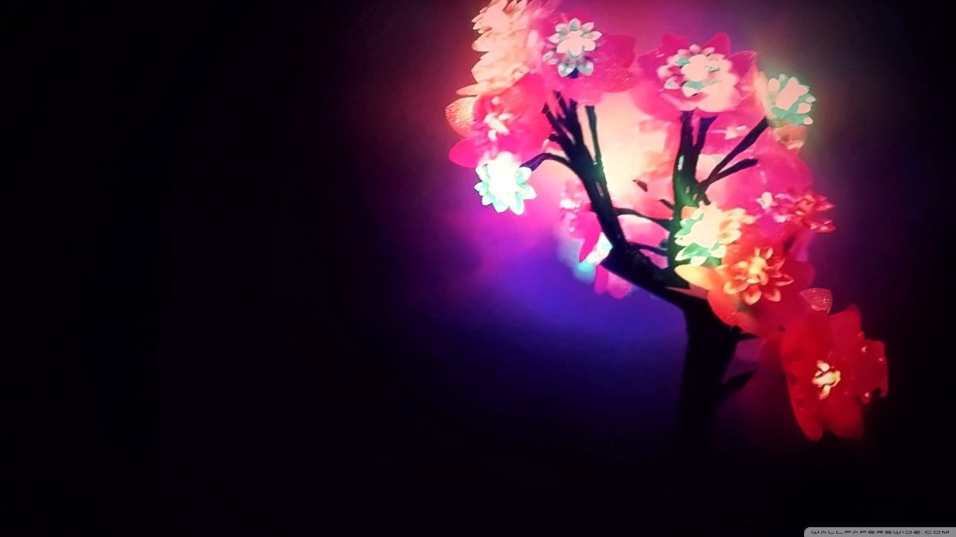 Fiori al neon su ramo, 1366x768 HD, Desktop