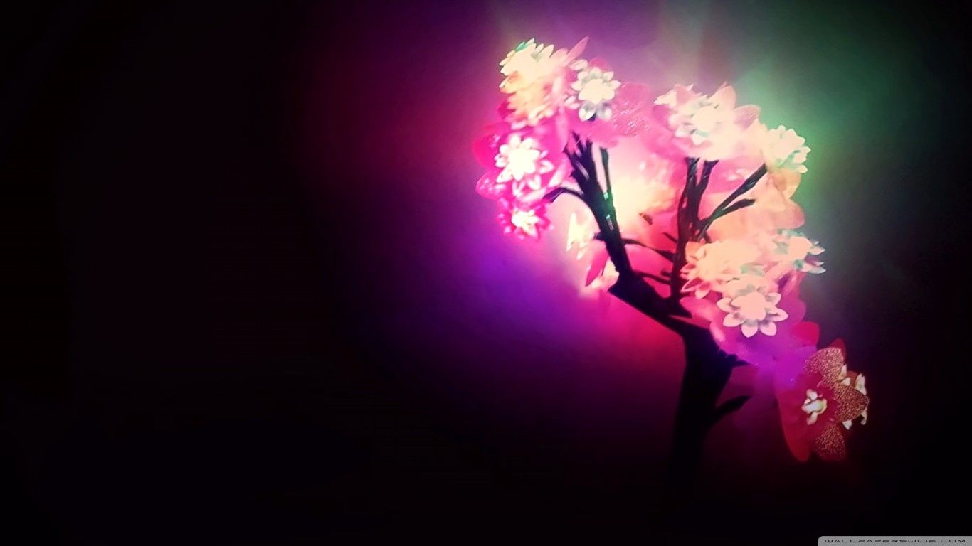 Fiori di ciliegio neon luminosi, 1366x768 720p, PC