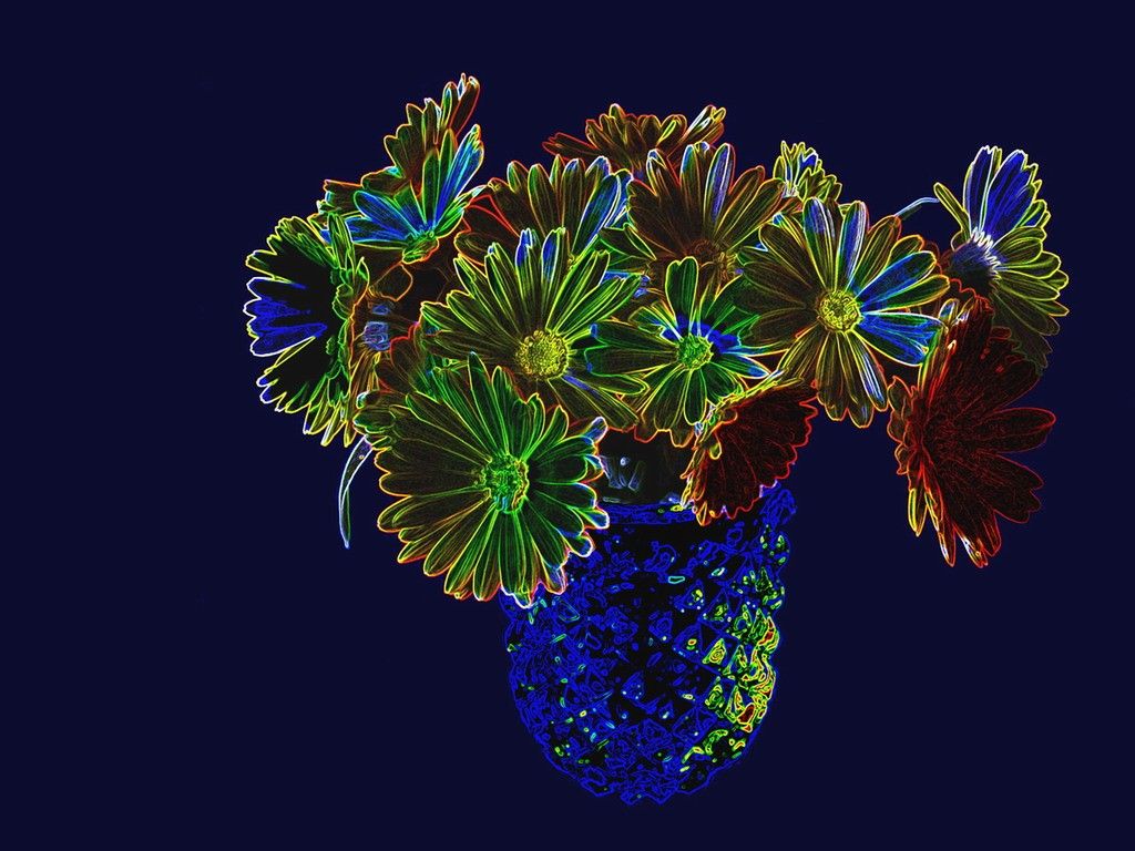 Fiori al neon in vaso, 1024x768 HD, Desktop