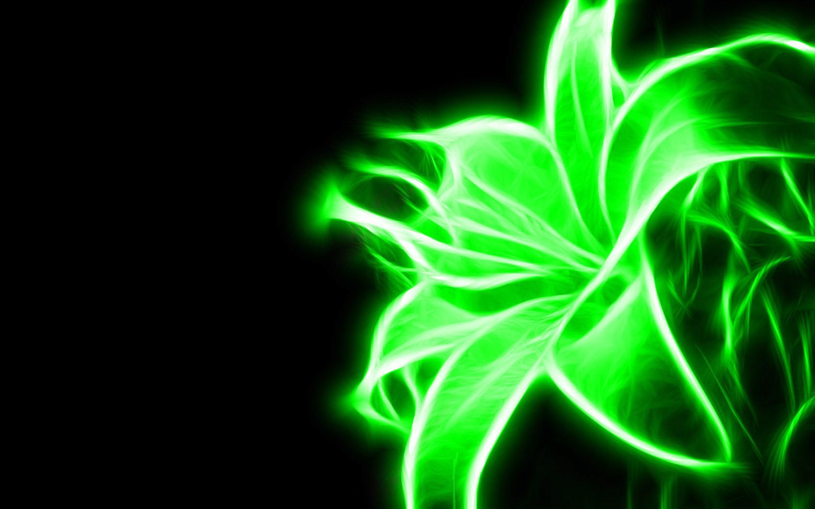 Fiore al neon verde, 1680x1050 HD Ready, Desktop