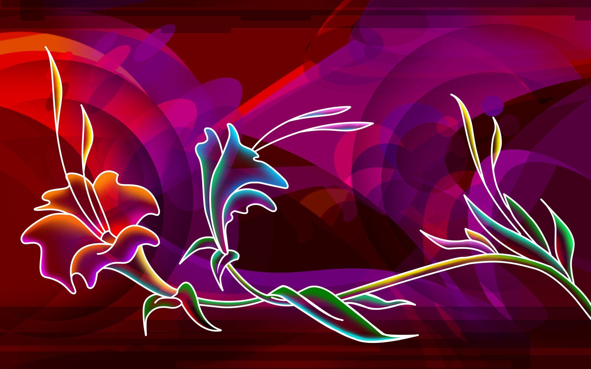 Fiori al neon astratti, 1920x1200 WUXGA, Laptop