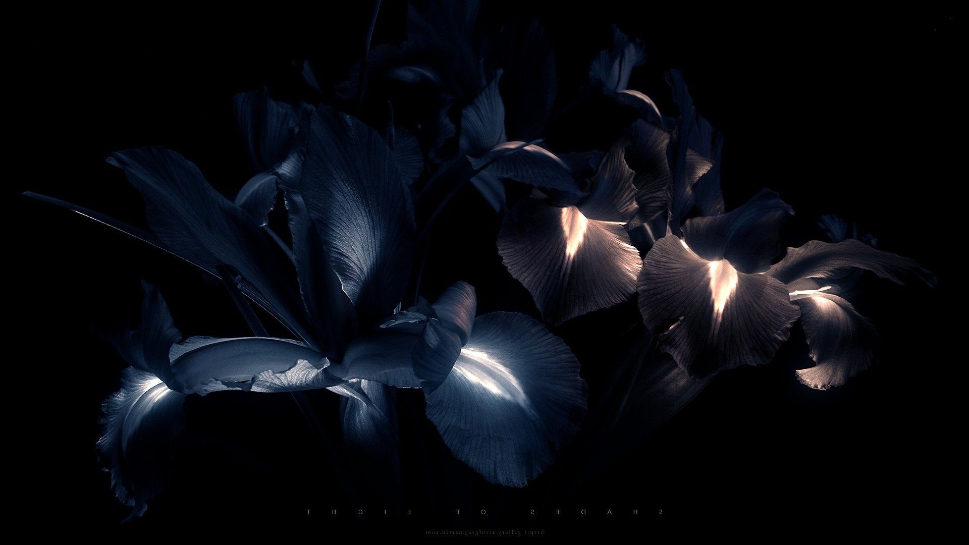 Sfere colorate luminose in fila, 1920x1080 Full HD, Desktop