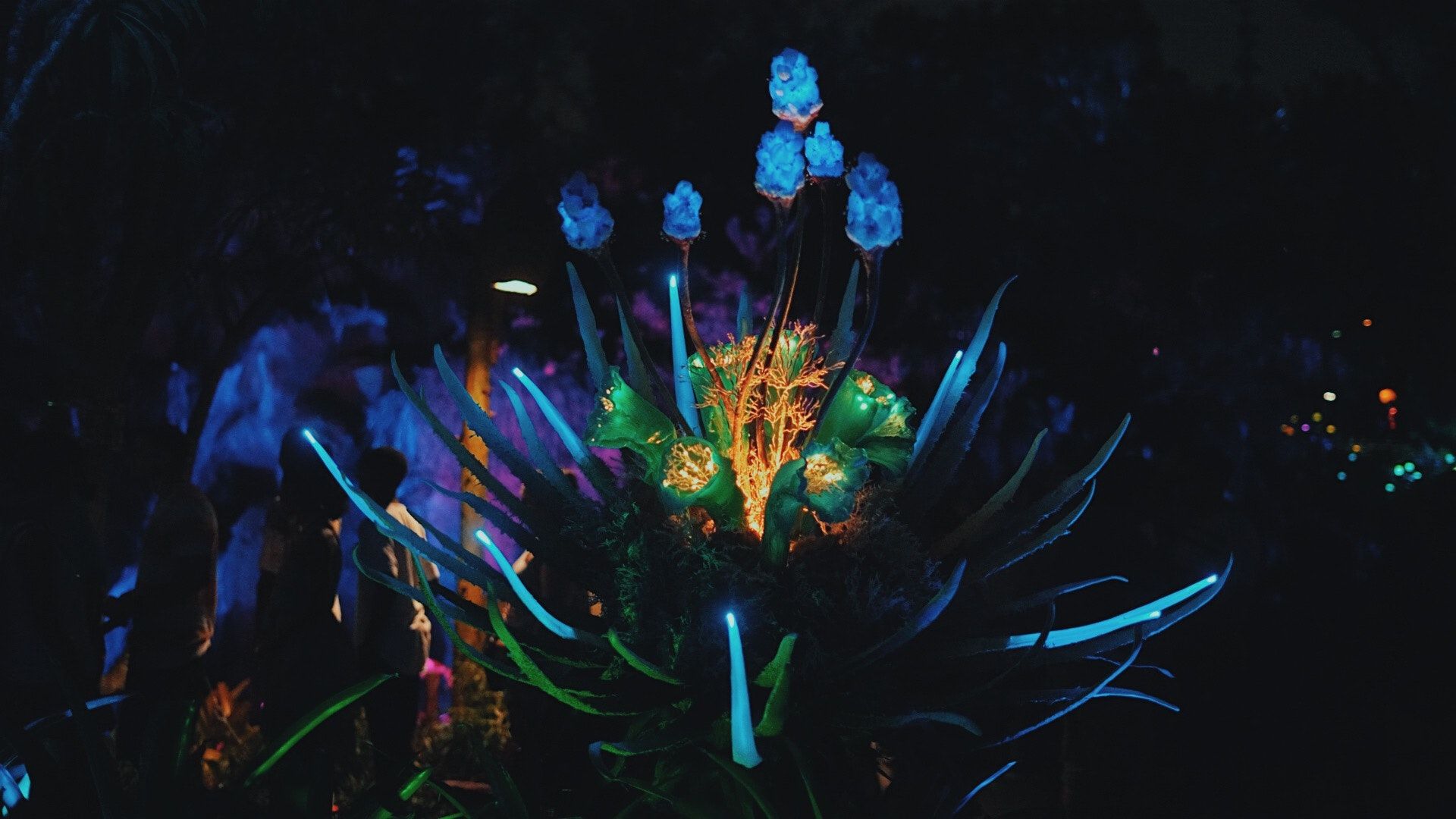 Fiori al neon notturni, 1920x1080 1080p, PC