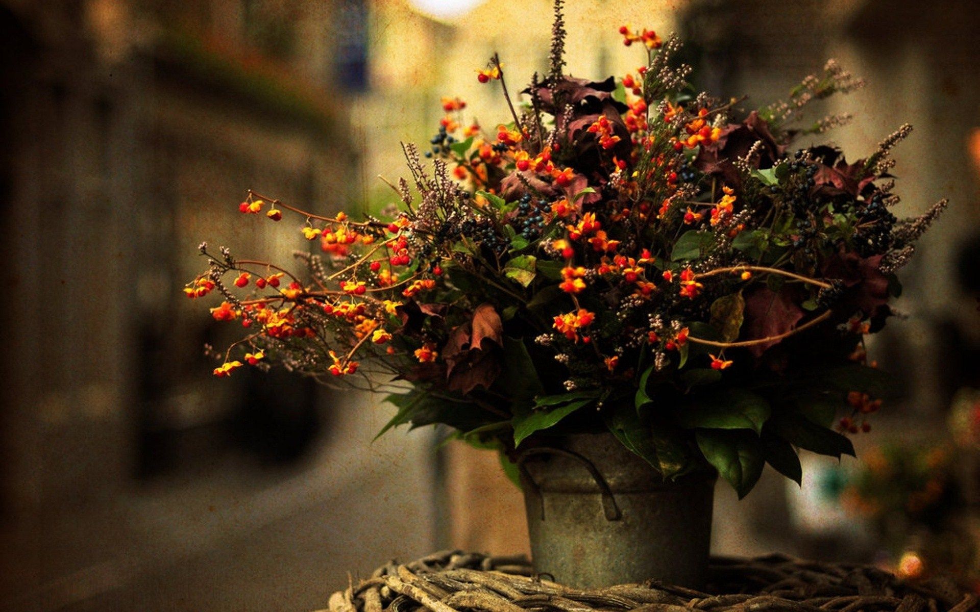 Vaso fiori autunnali arancioni, 1920x1200 Full HD+, PC