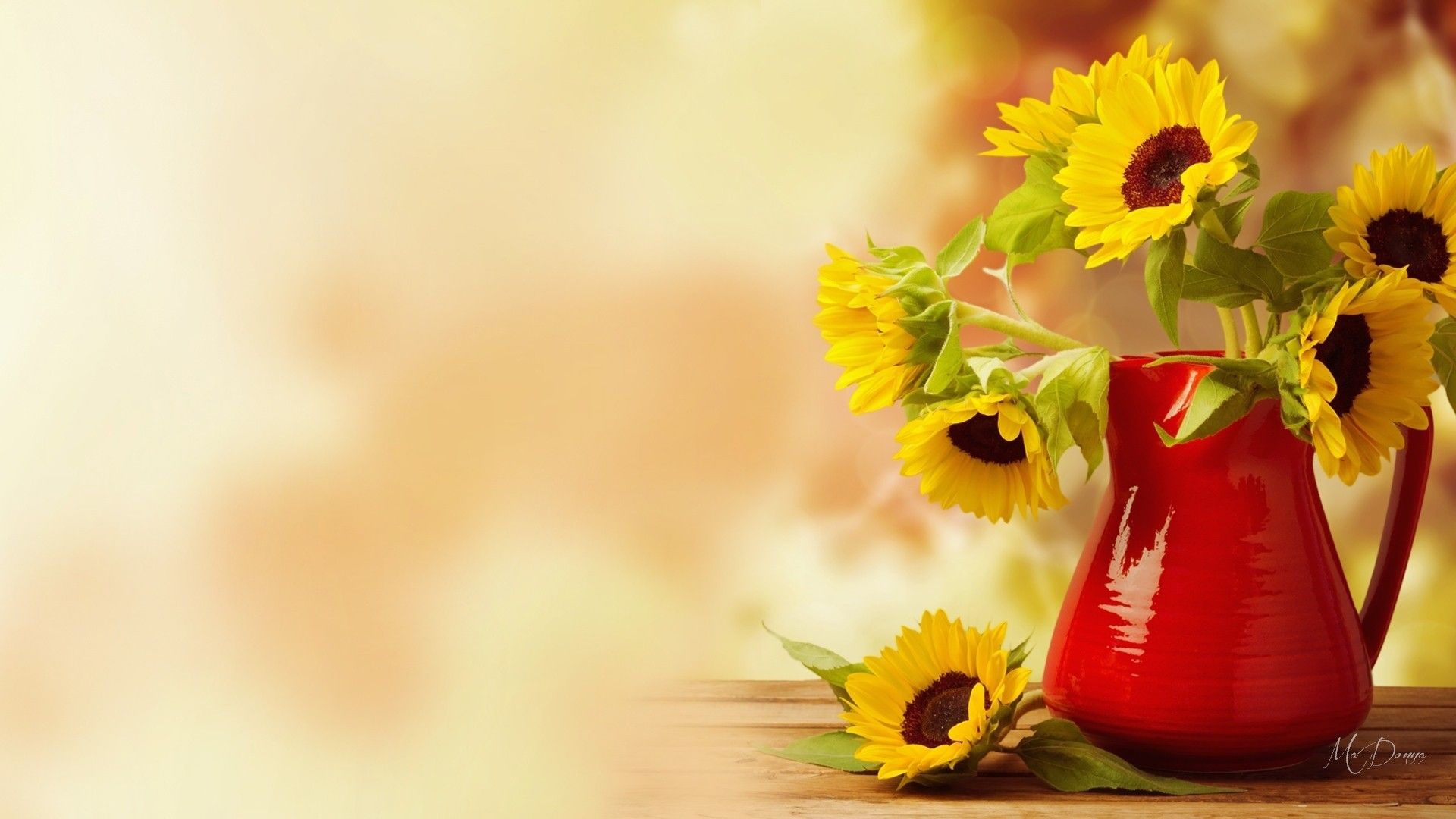 Girasoli in brocca rossa, 1920x1080 Full HD, PC Desktop
