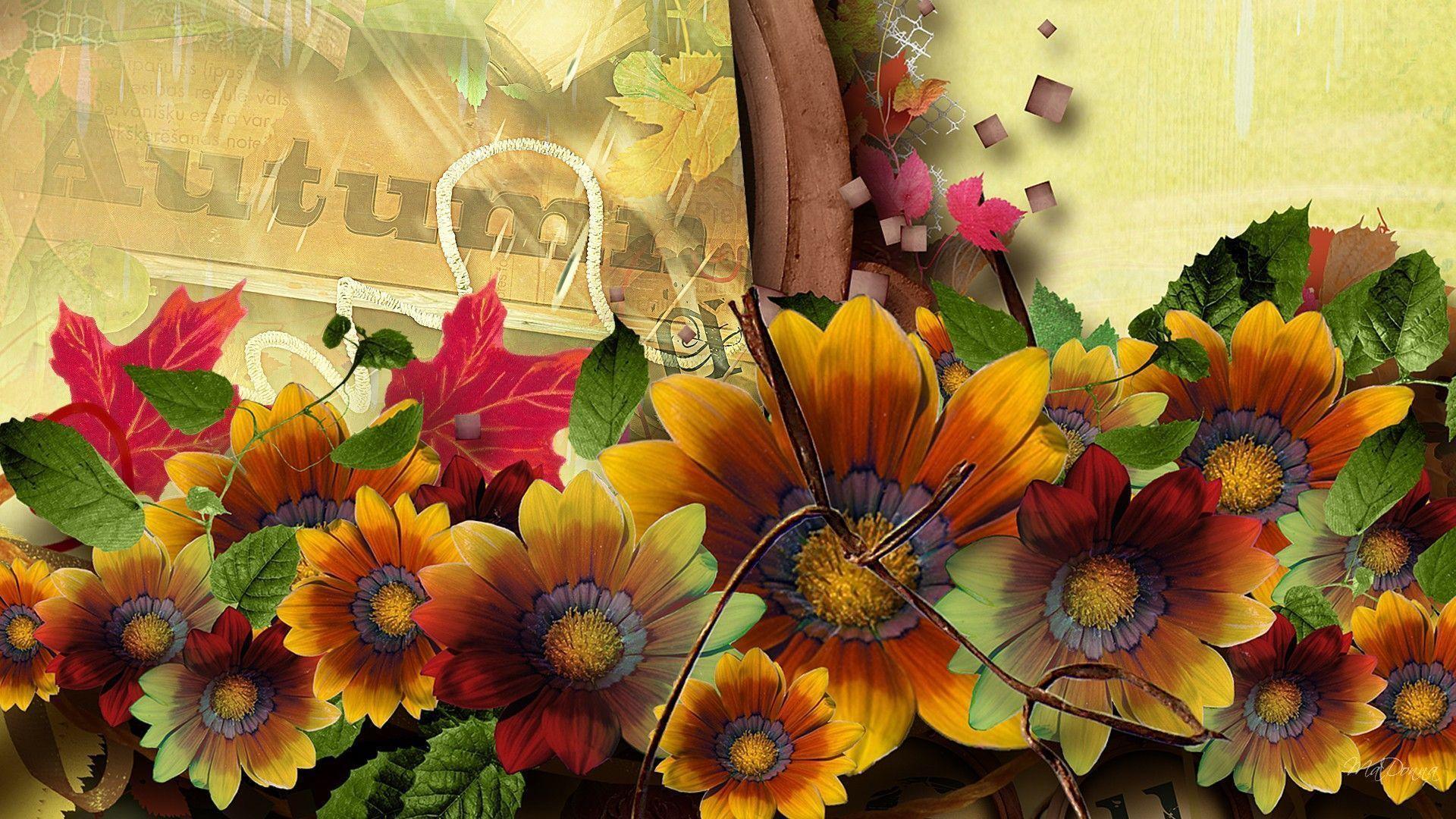 Fiori autunnali arancioni e rossi, 1920x1080 Full HD 1080p, Desktop