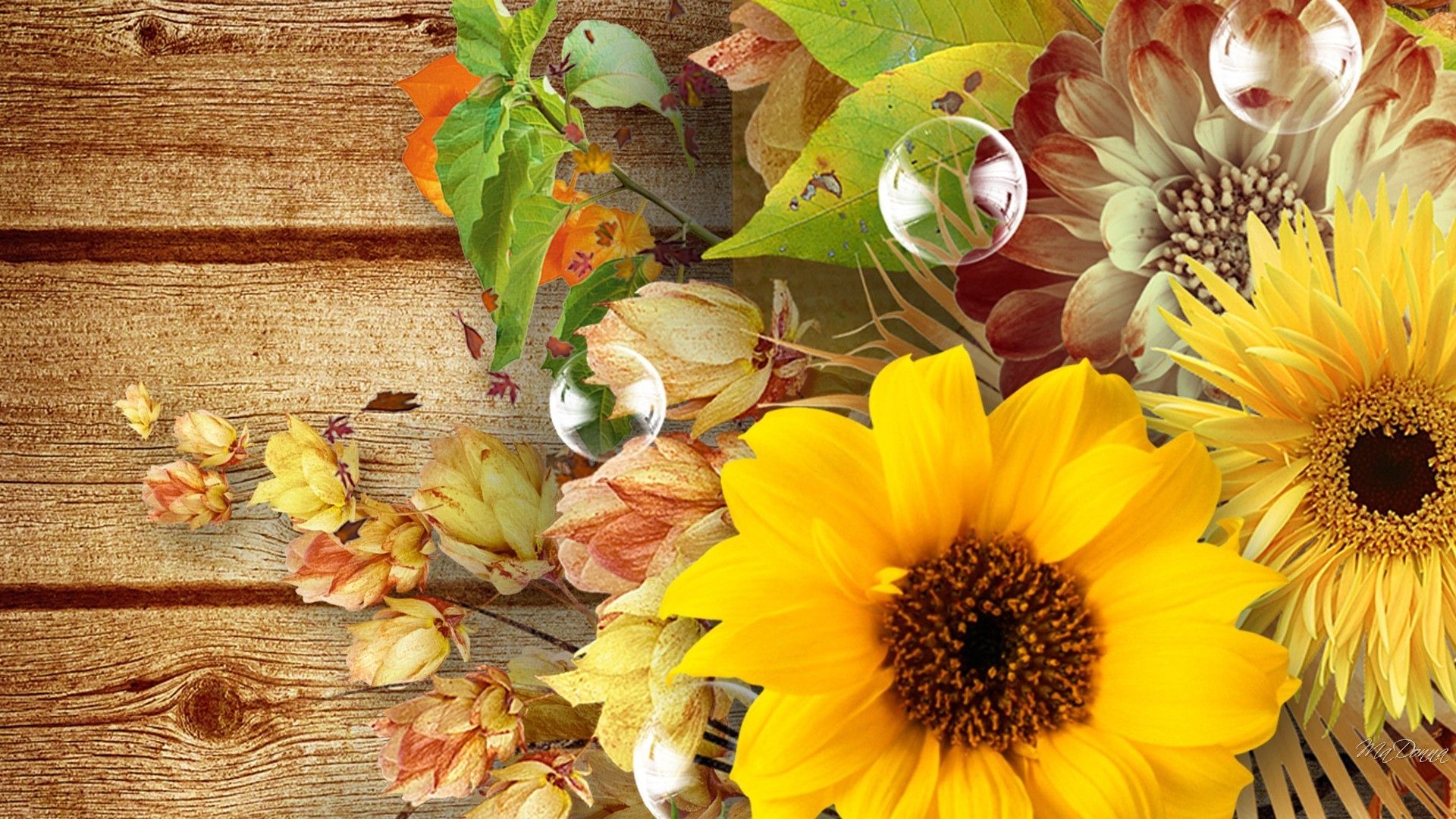 Girasoli e foglie autunnali, 1920x1080 1080p, PC