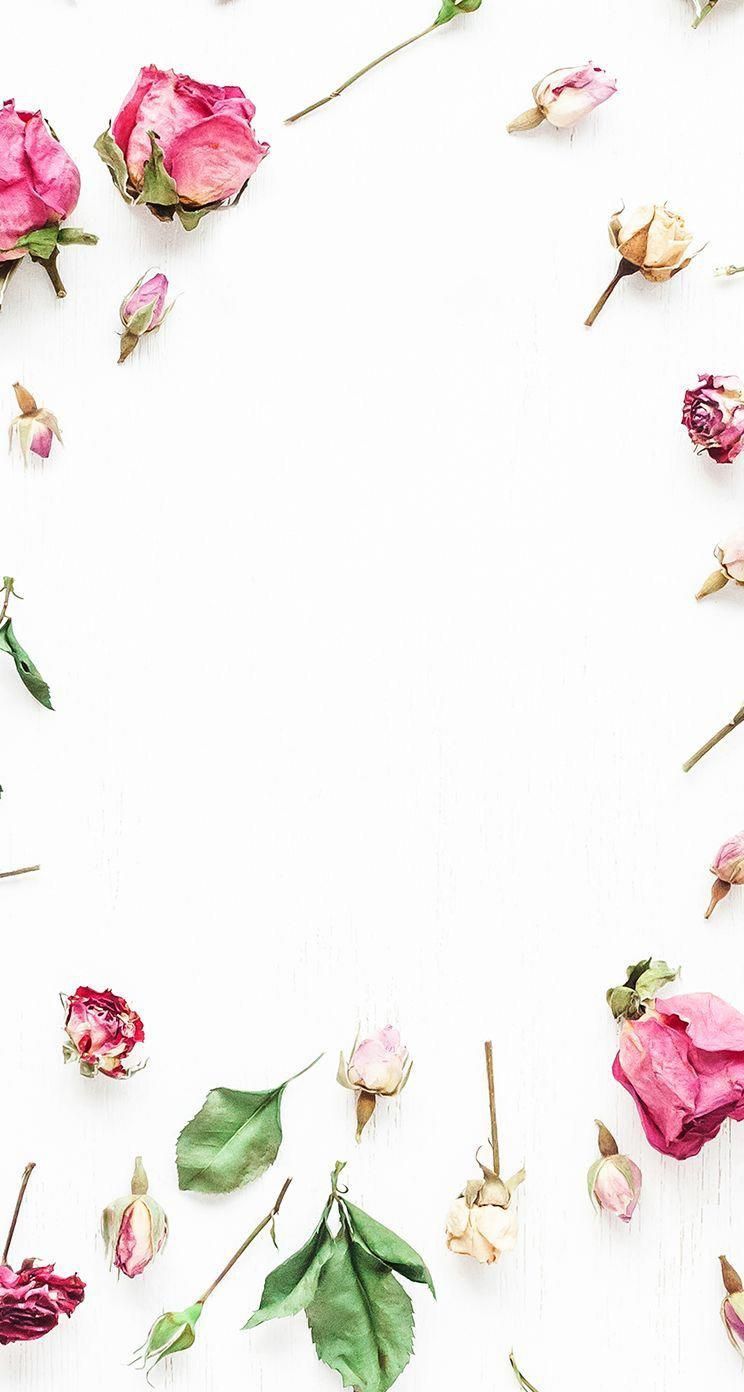 Cornice di rose rosa essiccate, 744x1392 Verticale, iPhone