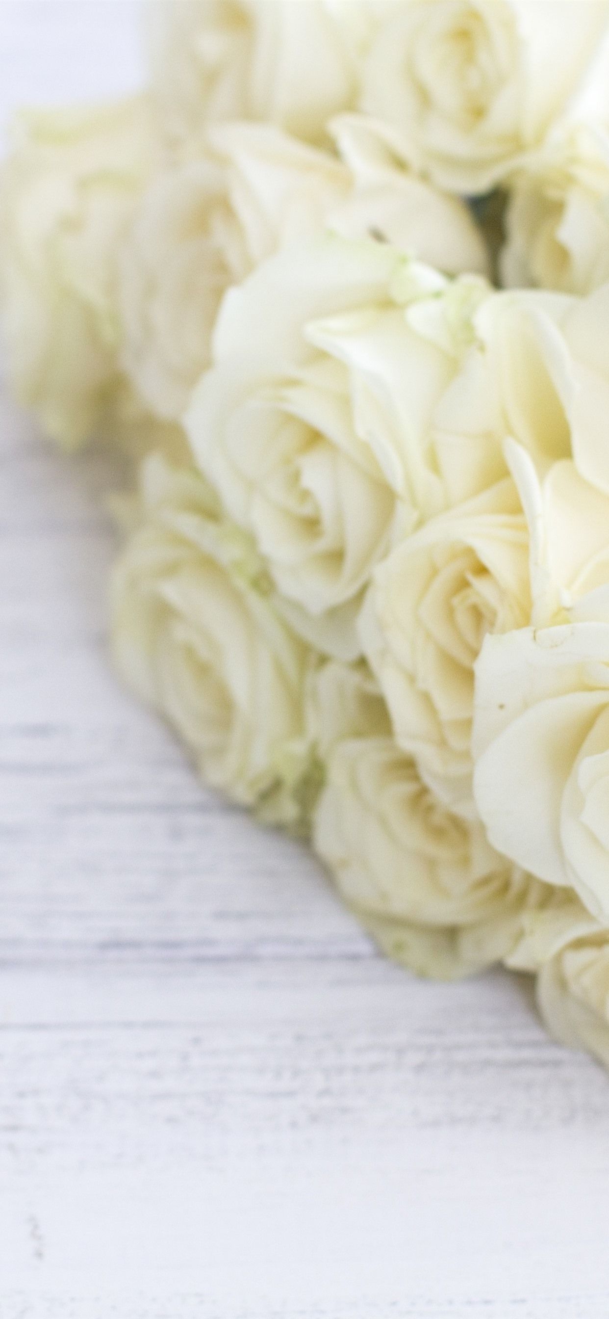 Bouquet rose bianche, 1242x2688 Full HD Verticale, Smartphone