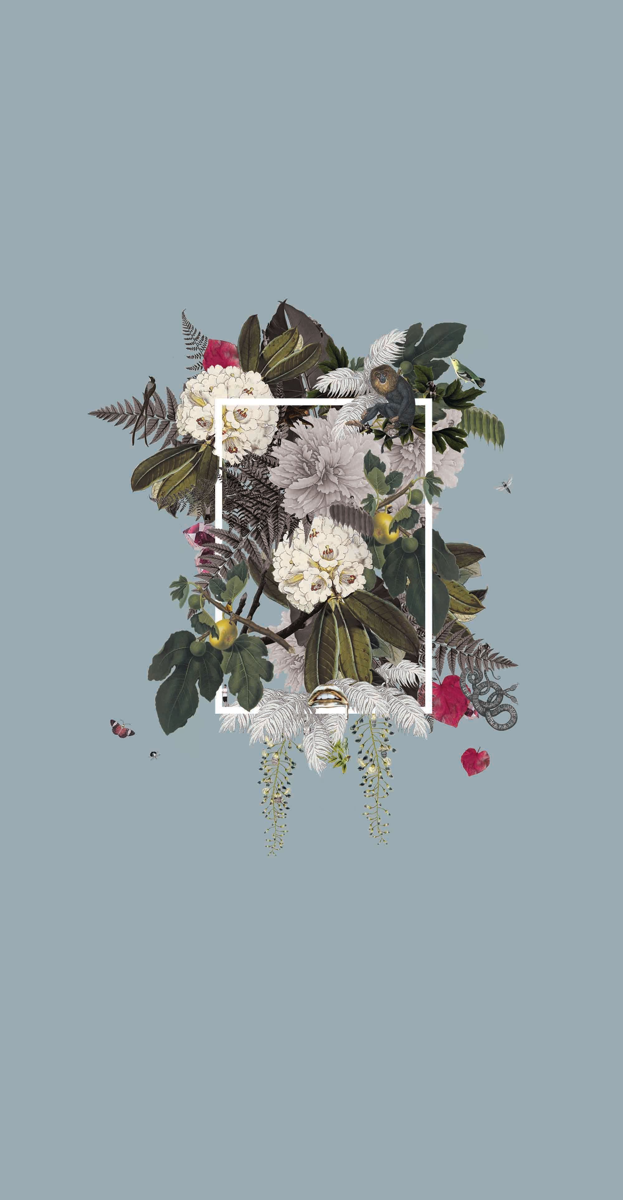 Fiori bianchi con cornice bianca, 2000x3849 Verticale, iPhone Pro