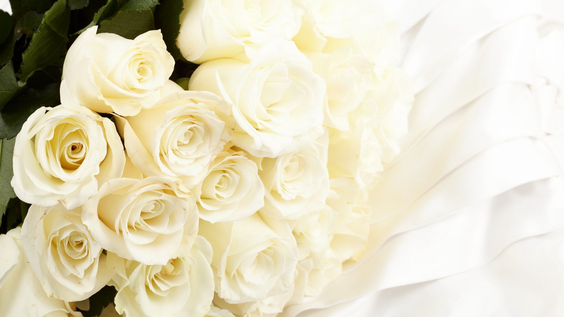 Bouquet di rose bianche, 1920x1080 Full HD 1080p, Monitor Gaming