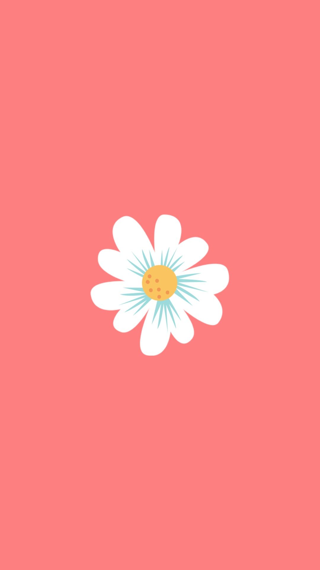 Margherita bianca su rosa, 1080x1920 Verticale, iPhone Plus