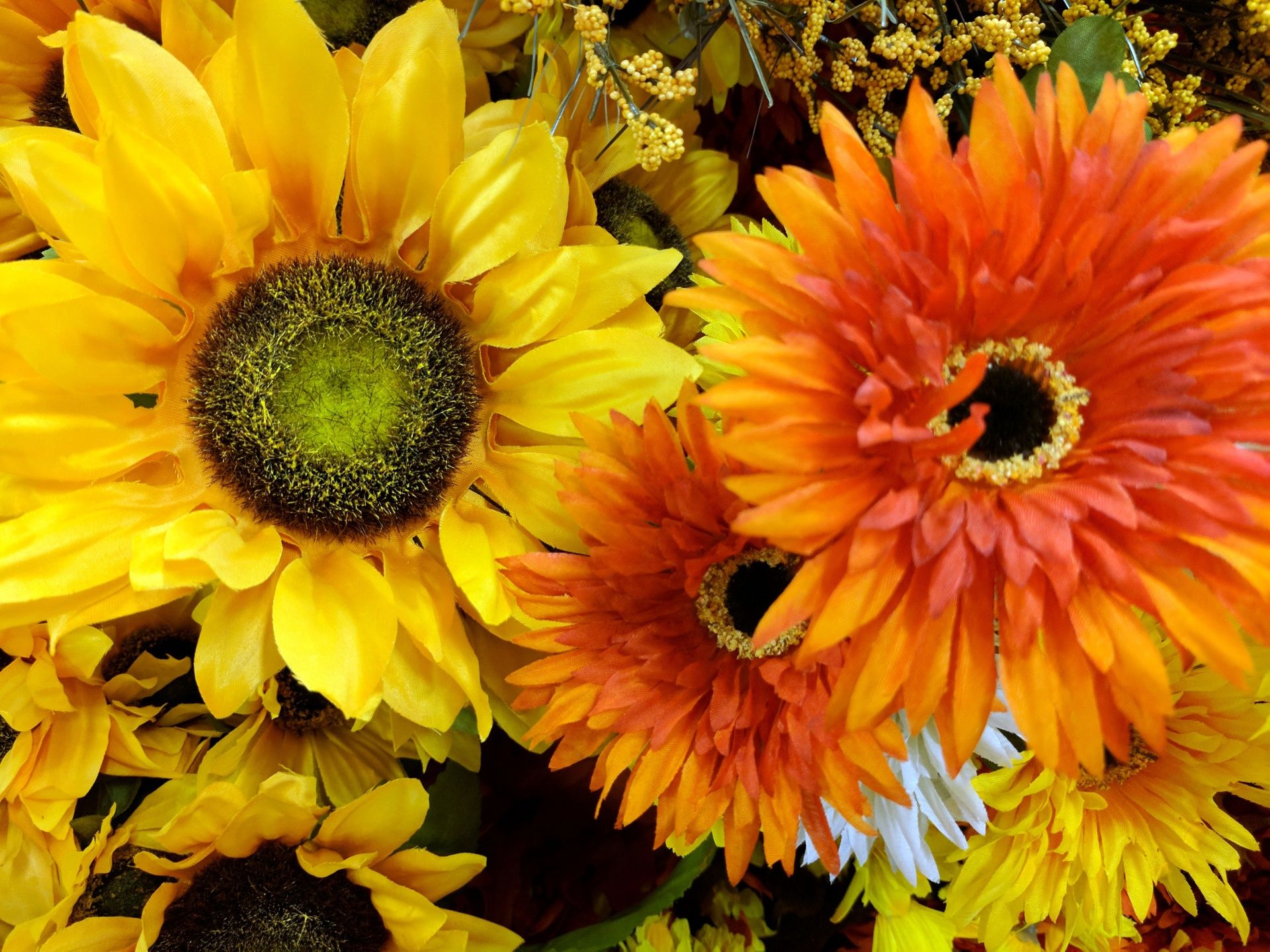 Girasoli gialli e arancioni autunnali, 1920x1440 Full HD+ WUXGA, PC Desktop