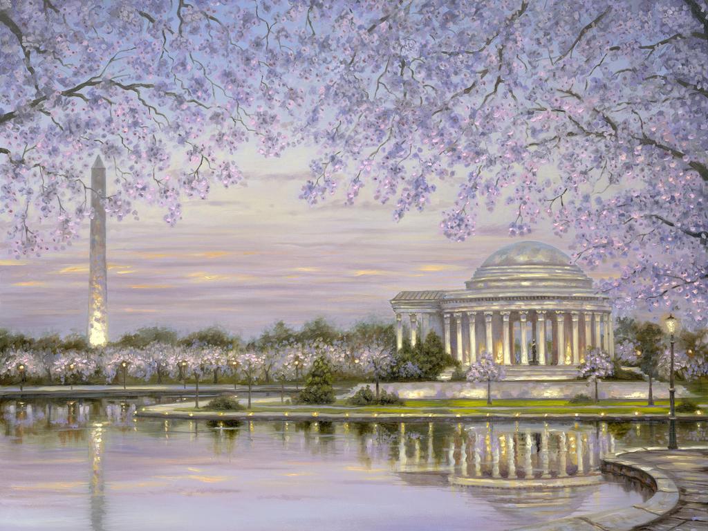 Fiori di ciliegio Washington DC, 1024x768 HD, Desktop