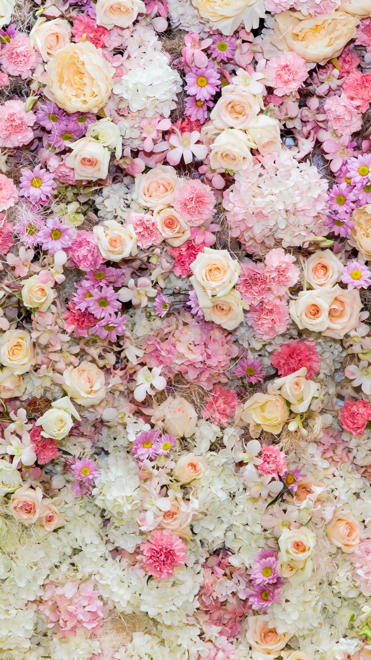 Muro di fiori rosa pastello, 1242x2208 Verticale, Mobile