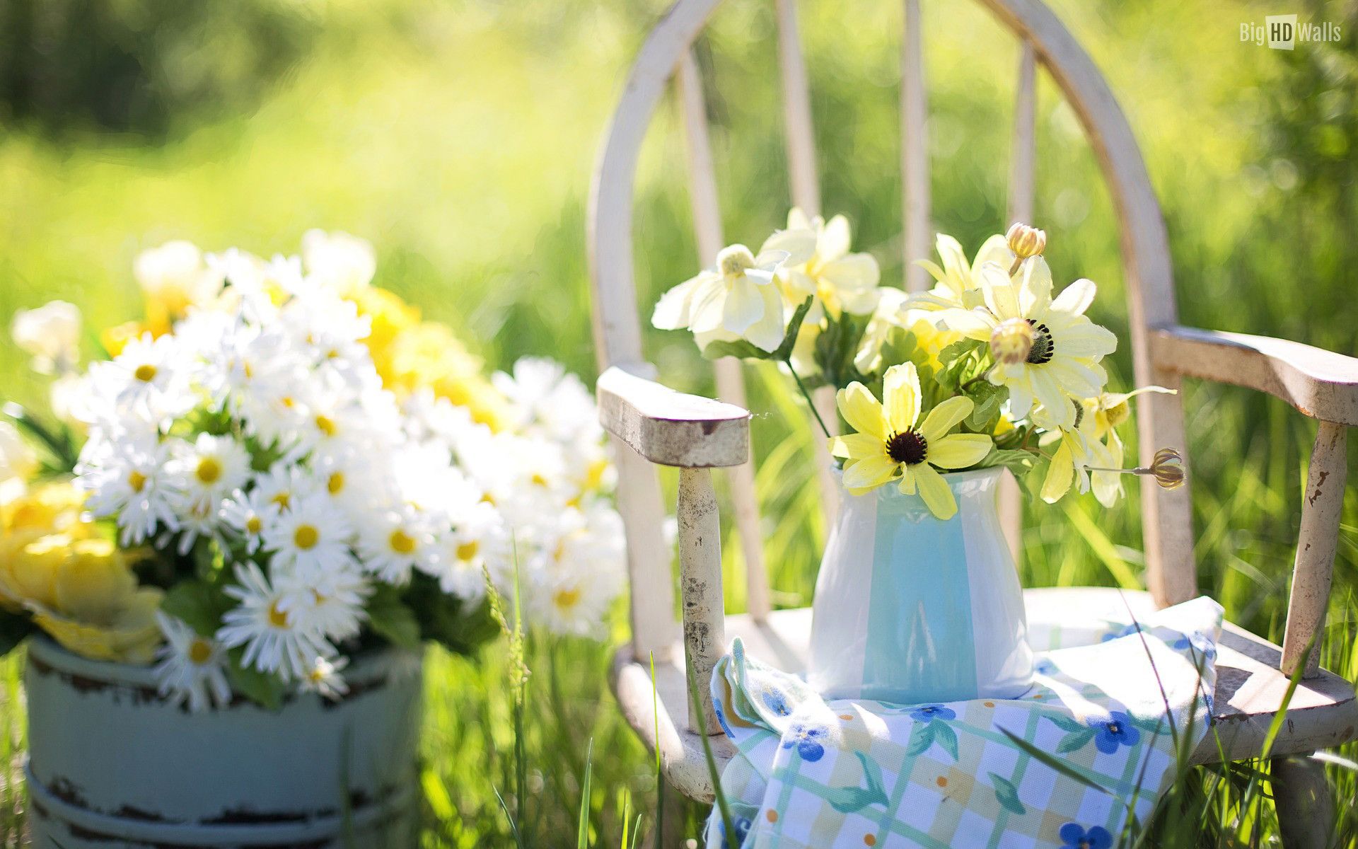 Fiori bianchi gialli sedia giardino, 1920x1200 Full HD+ WUXGA, Desktop