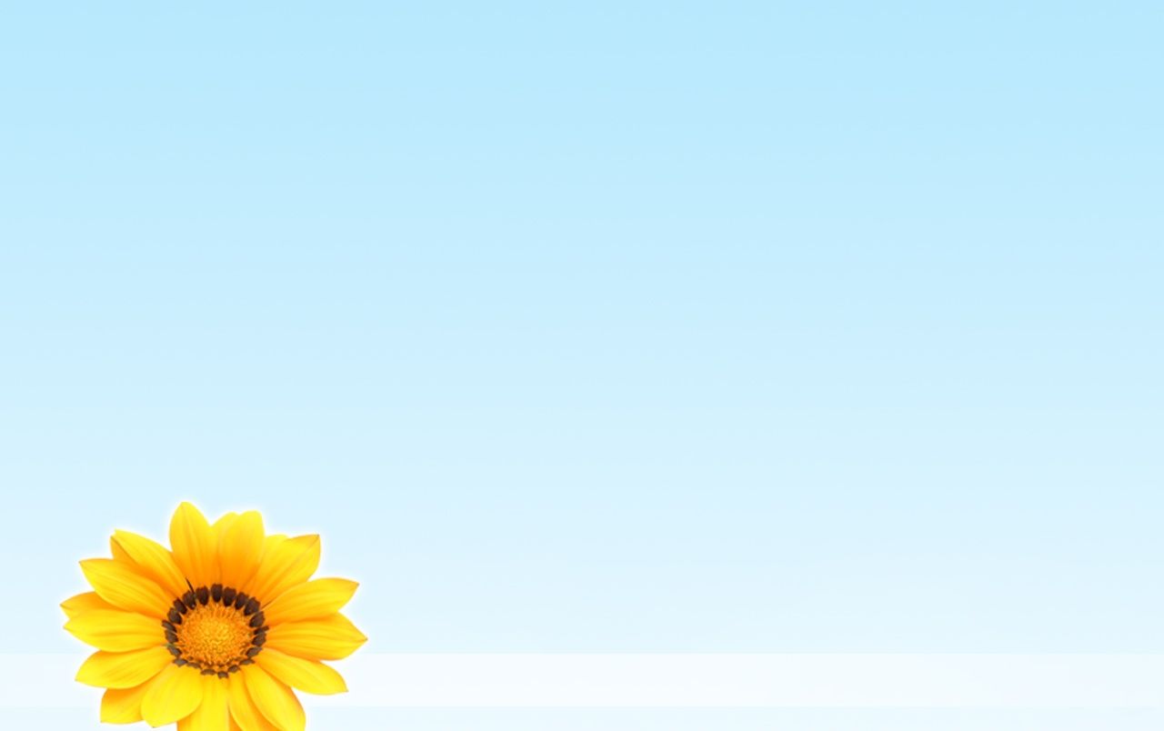 Fiore giallo su sfondo azzurro, 1280x804 HD, Desktop