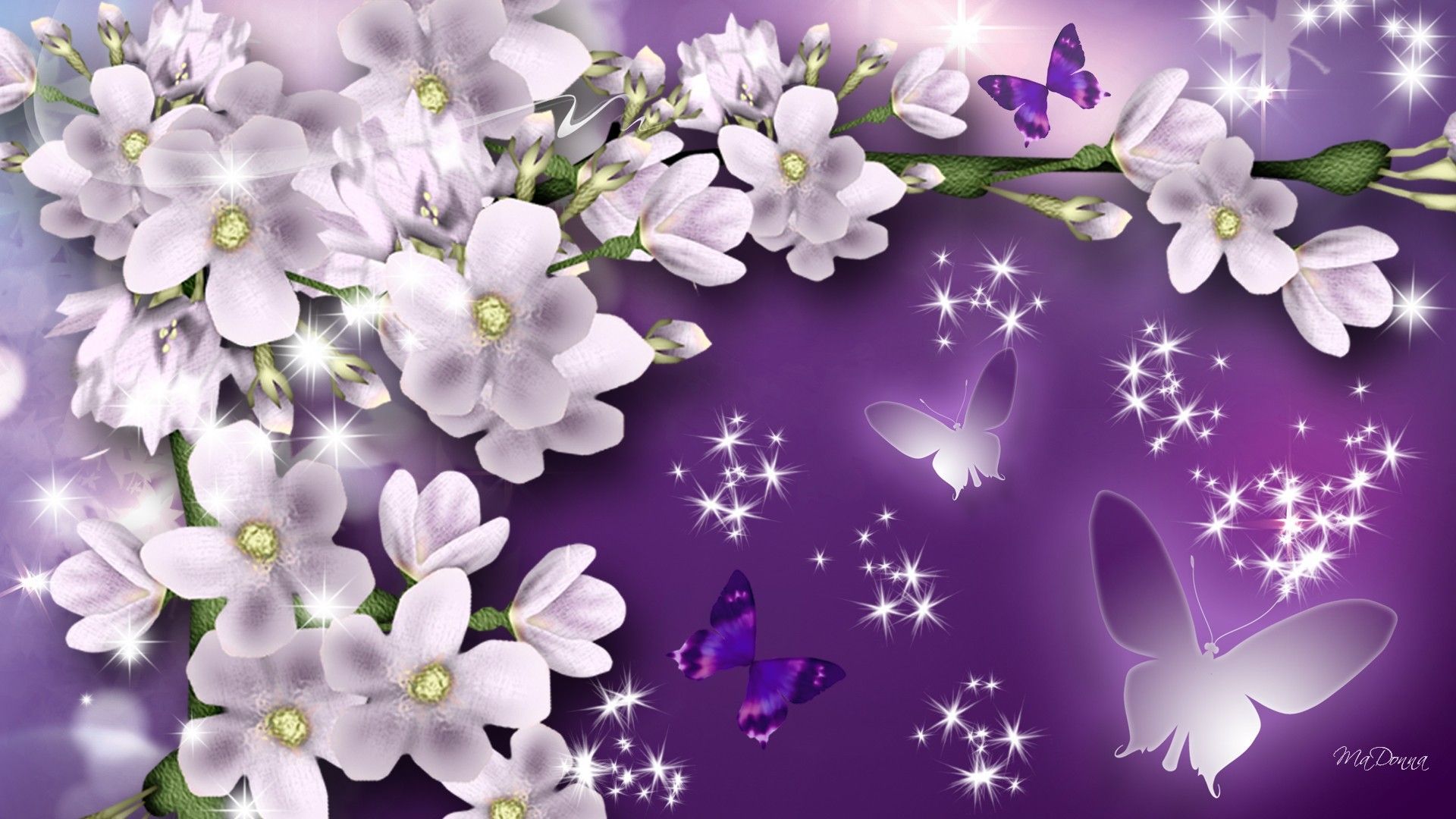 Fiori bianchi e farfalle viola, 1920x1080 1080p, Laptop