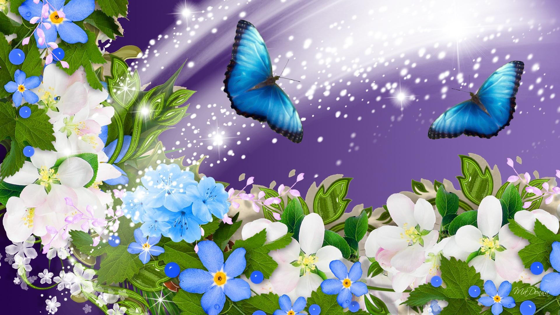 Collage fiori estivi con farfalle, 1920x1080 Full HD, PC Desktop