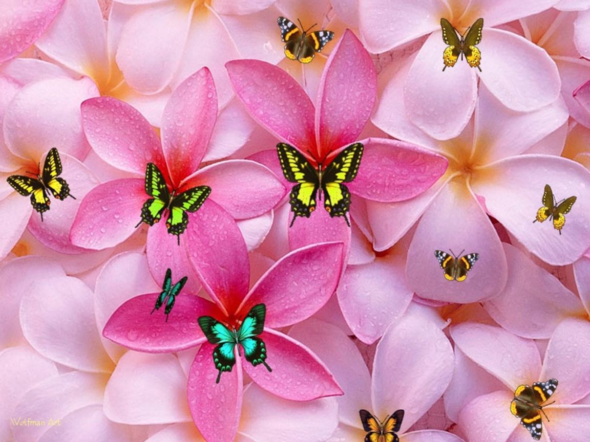 Vaso fiori rosa acquerello, 1920x1080 Full HD 1080p, PC Desktop