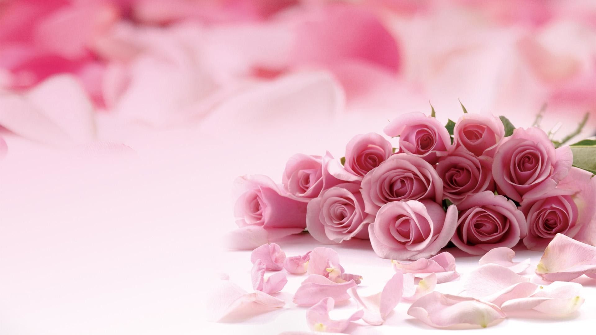 Bouquet rose rosa petali, 1920x1080 Full HD 1080p, PC