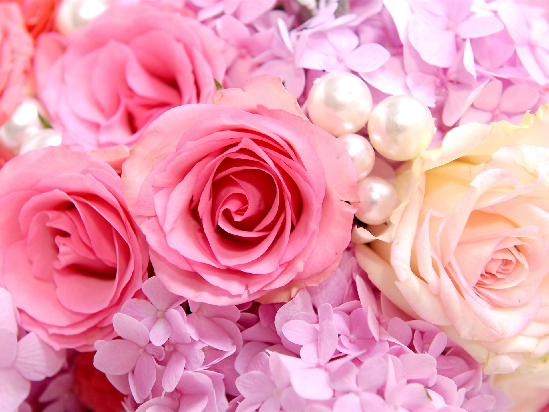 Rose rosa con perle, 1920x1440 Full HD+, PC