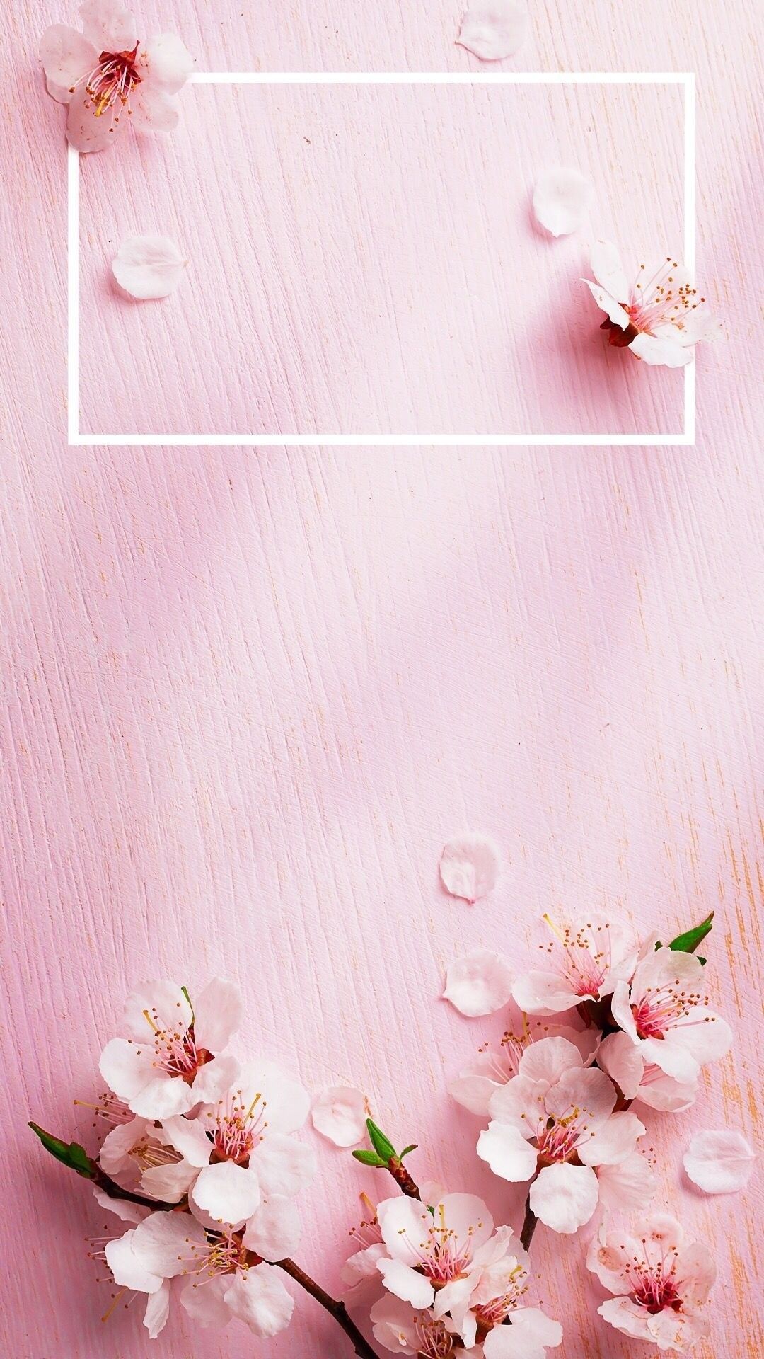 Fiori di ciliegio rosa, 1080x1920 Full HD Verticale, Smartphone