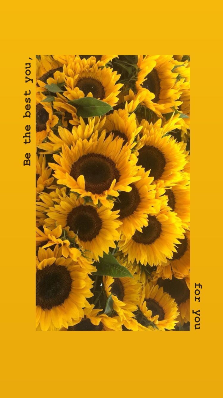 Girasoli gialli estetica, 750x1334 Full HD Verticale, iPhone