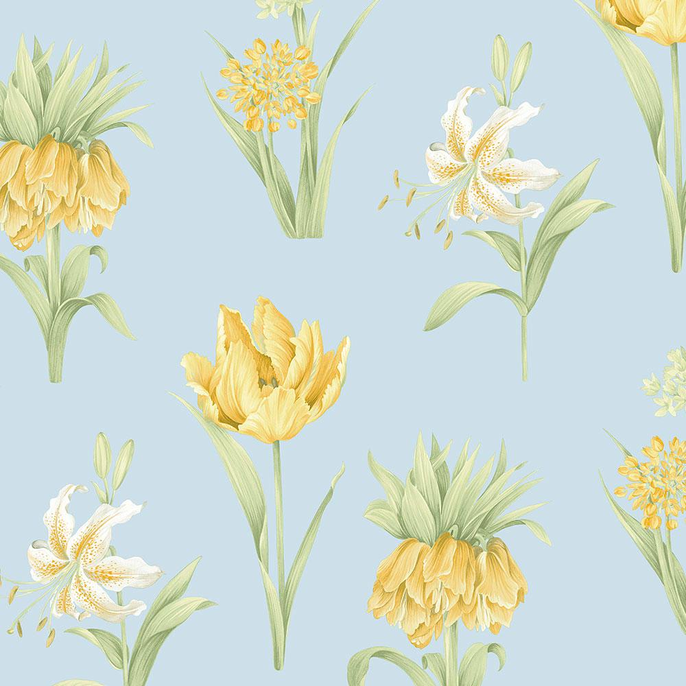Fiori gialli su sfondo azzurro, 1000x1000 HD, Desktop