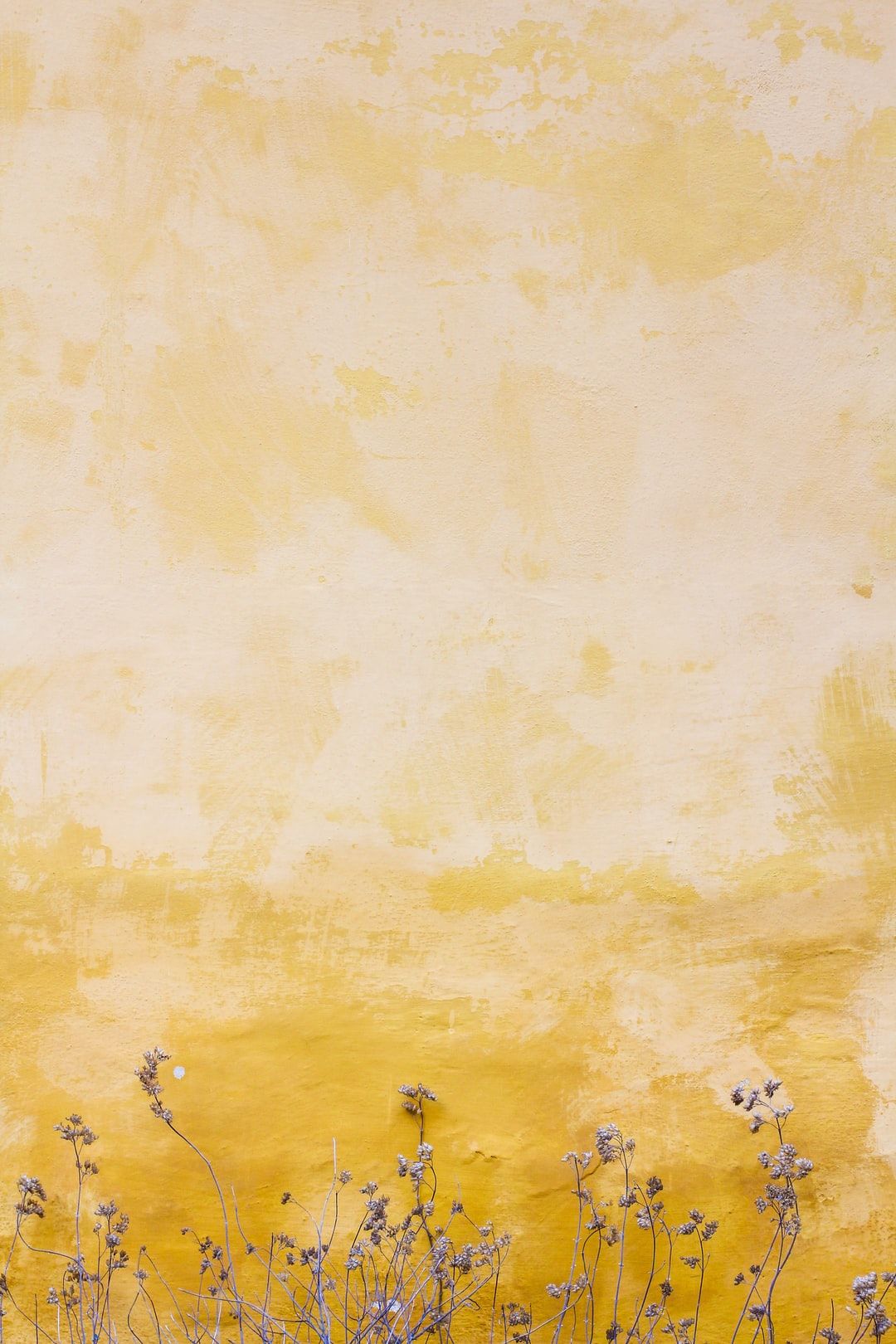 Fiori secchi su acquerello giallo, 1080x1620 Verticale, Mobile