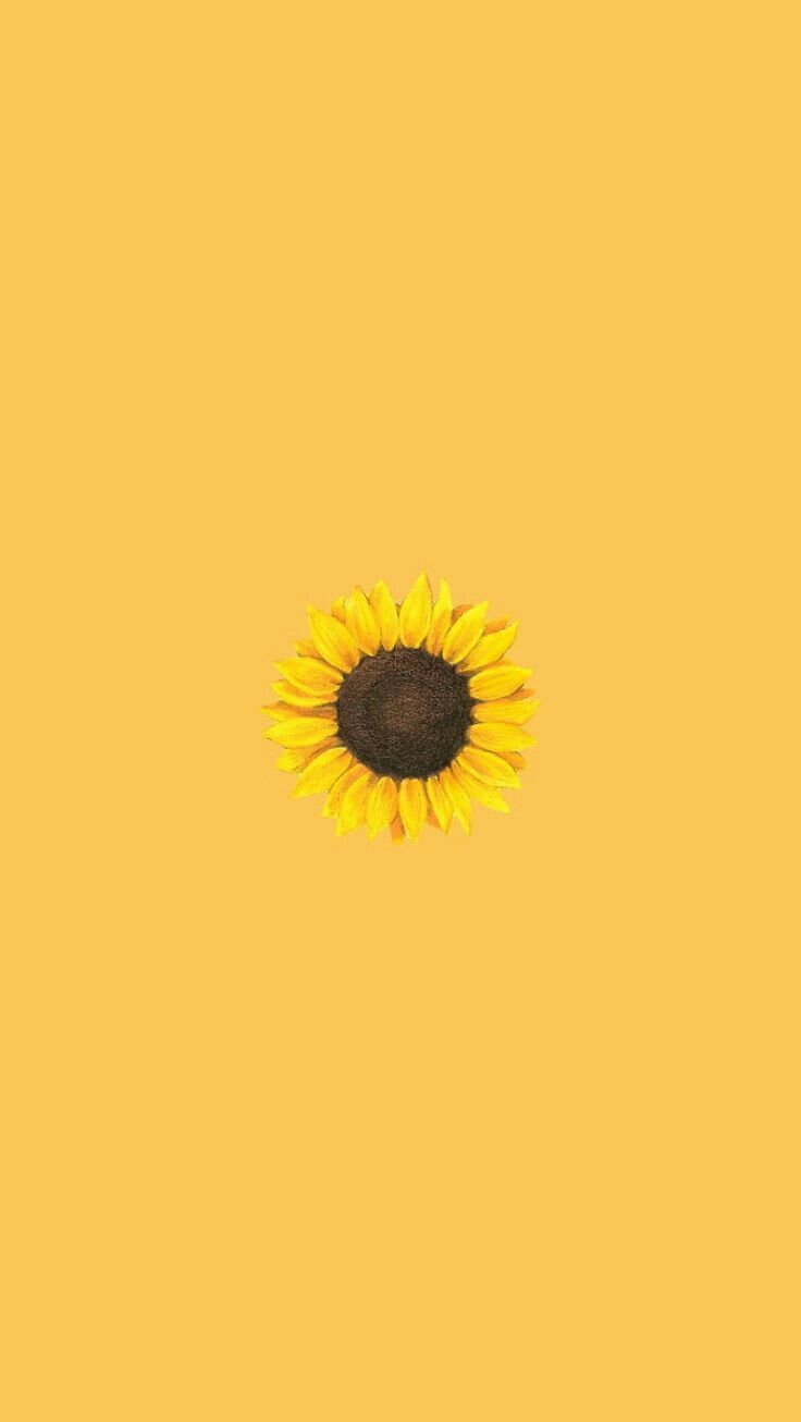 Girasole minimalista sfondo giallo, 736x1306 Full HD Verticale, Smartphone