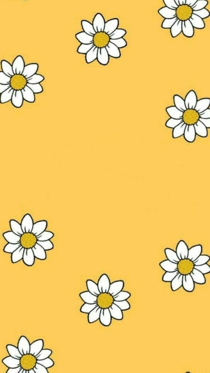 Margherite bianche su giallo, 736x1308 Verticale, Android