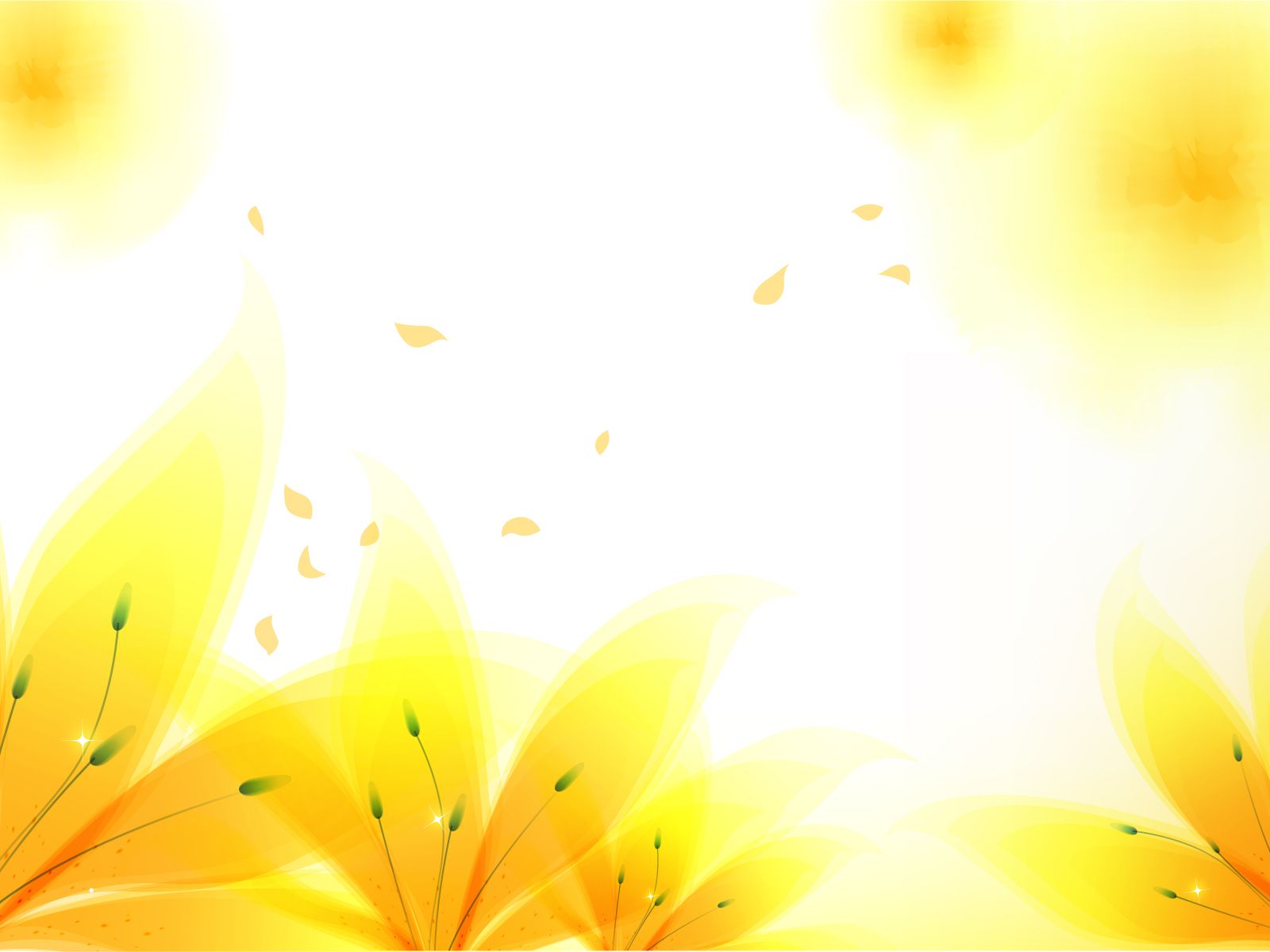 Gerbera arancione con gocce, 1440x900 720p, PC