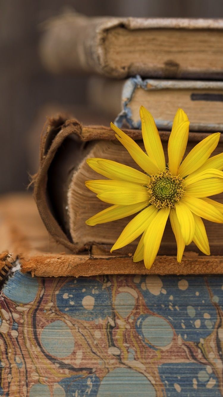 Fiore giallo su libri antichi, 750x1334 Verticale, Telefono