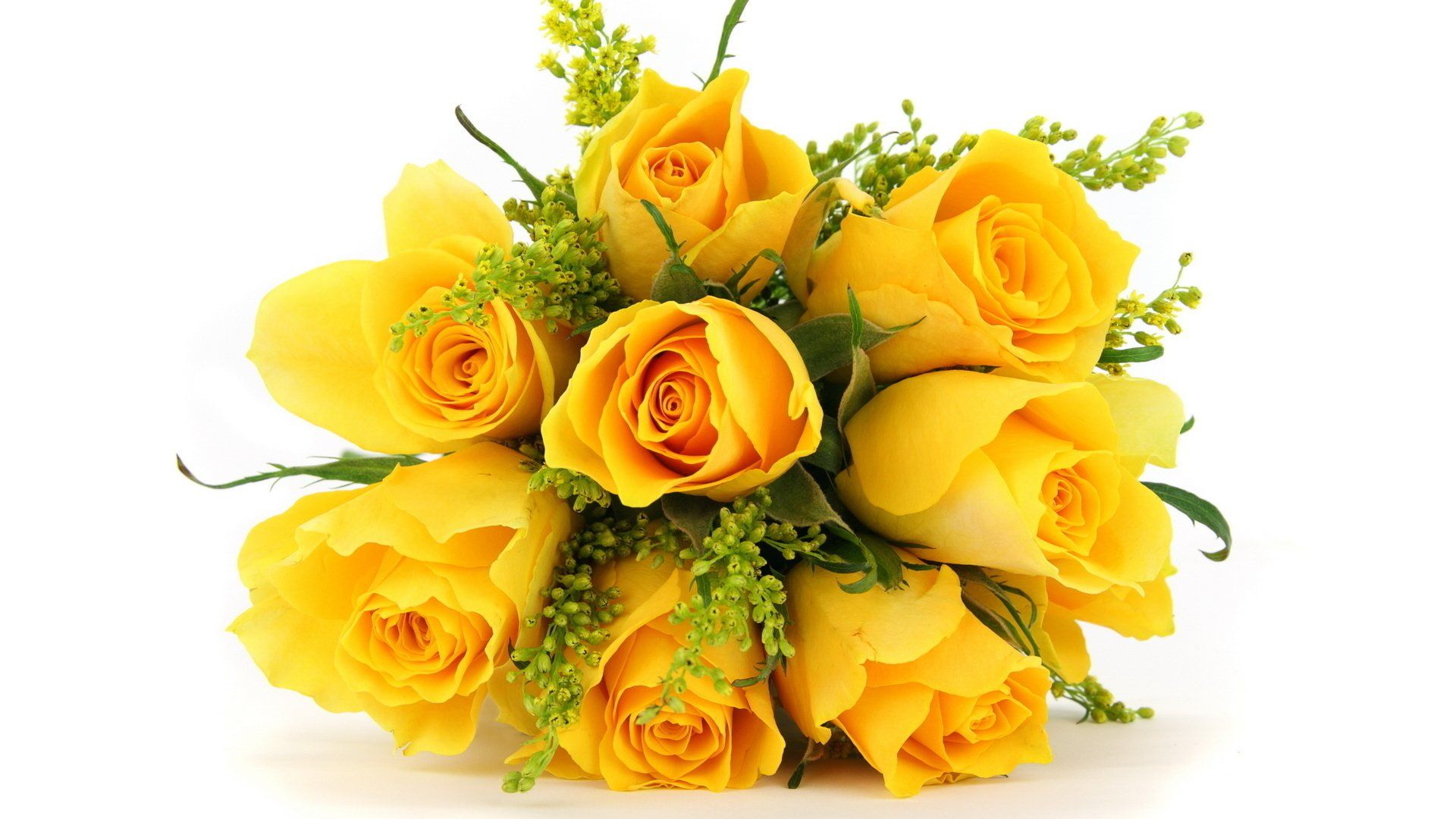 Bouquet di rose gialle, 1920x1080 1080p, PC