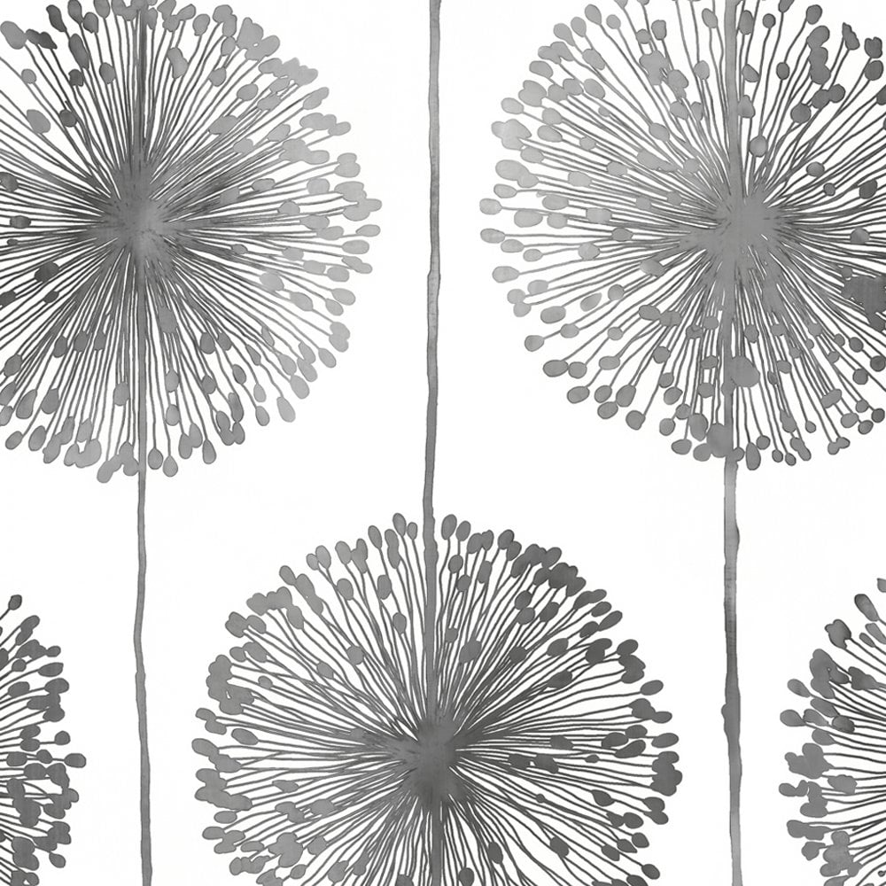 Fiori di tarassaco grigi su bianco, 1000x1000 HD, Laptop