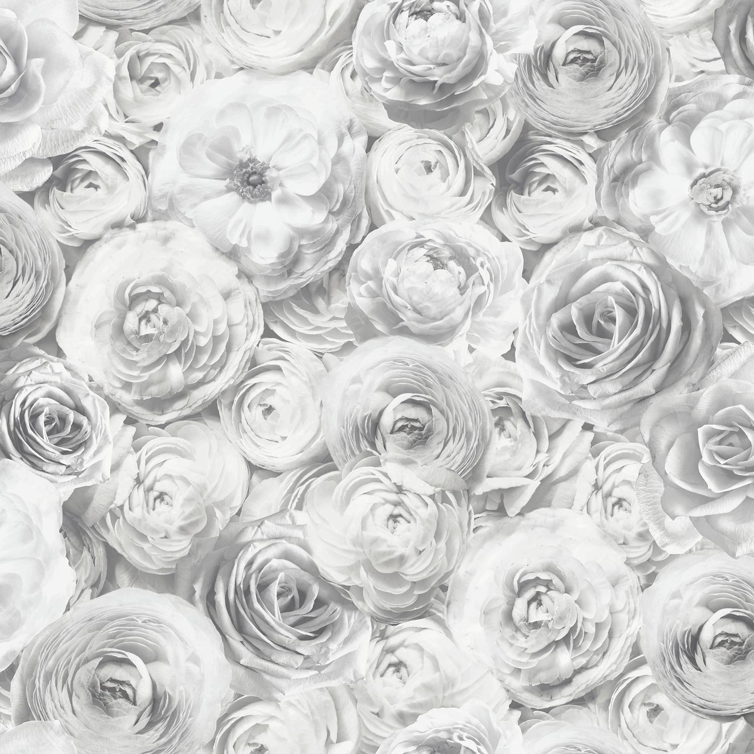 Rose grigie 3D pattern, 1500x1500 HD, Desktop