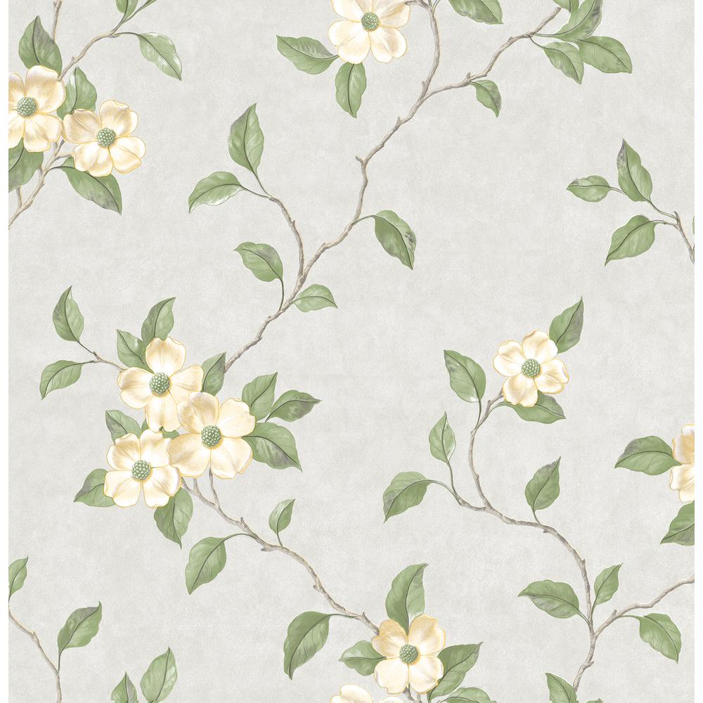Fiori bianchi con foglie verdi, 1000x1000 HD, Desktop