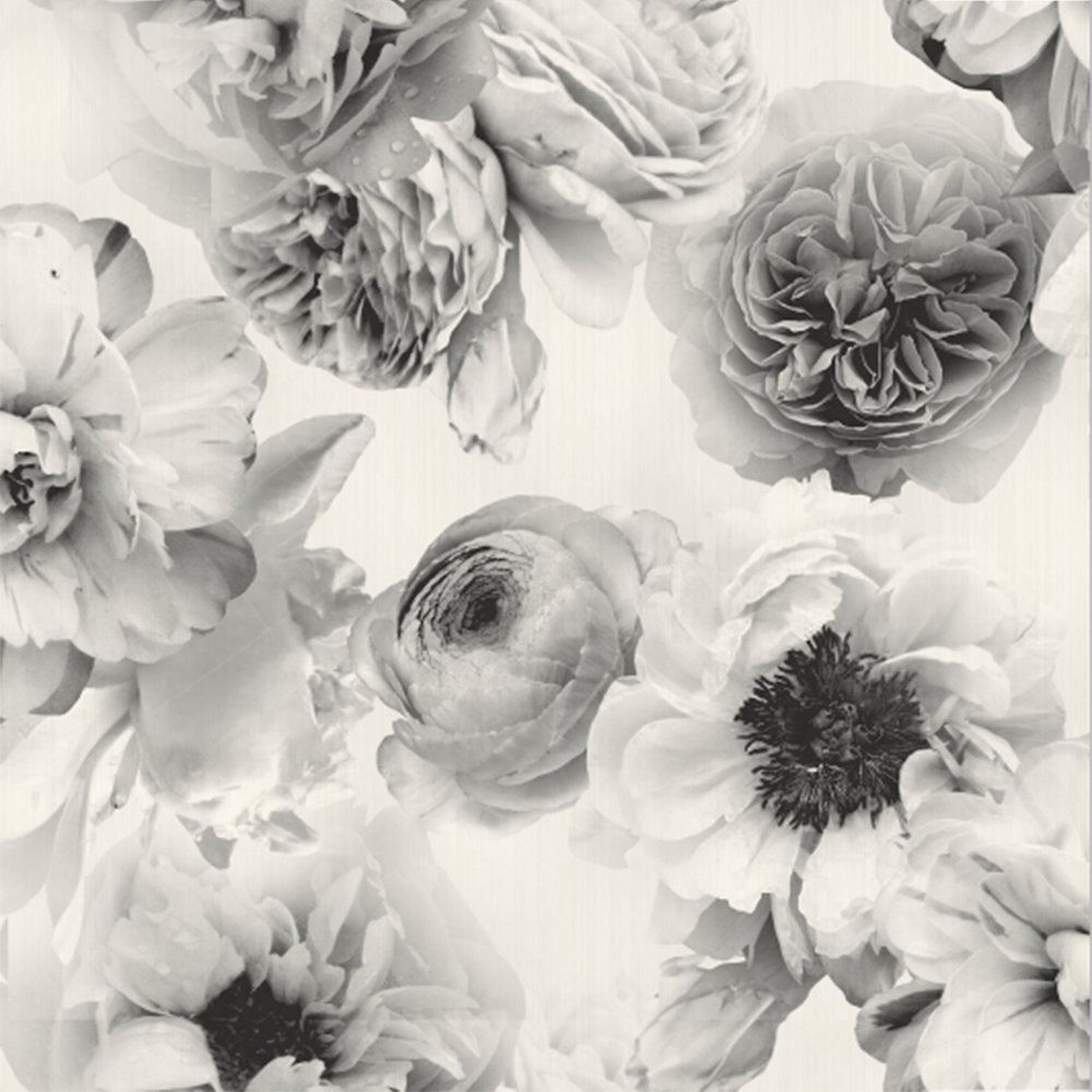 Fiori grigi in bianco e nero, 1000x1000 HD, Desktop
