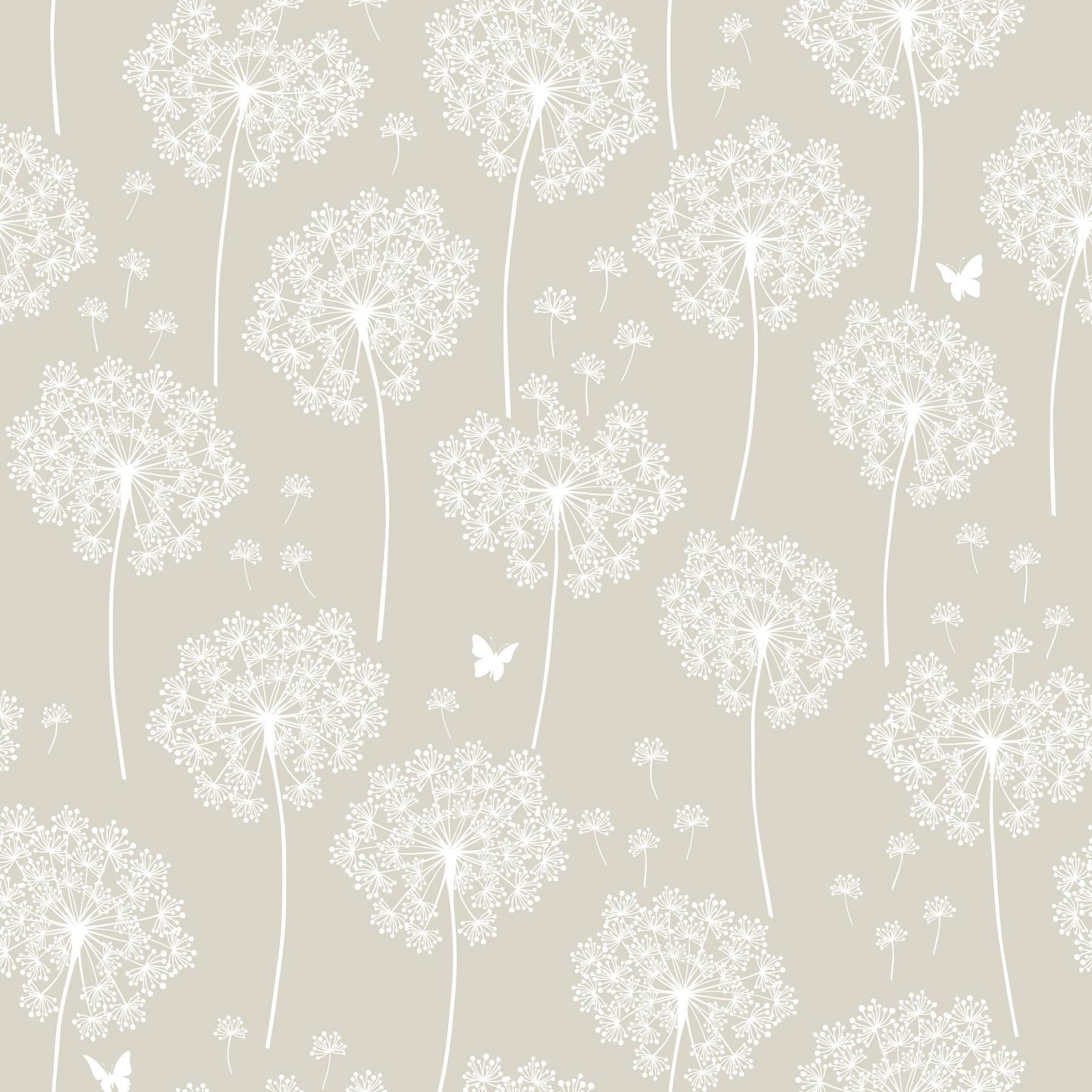 Soffioni bianchi su grigio, 1800x1800 900p, Desktop