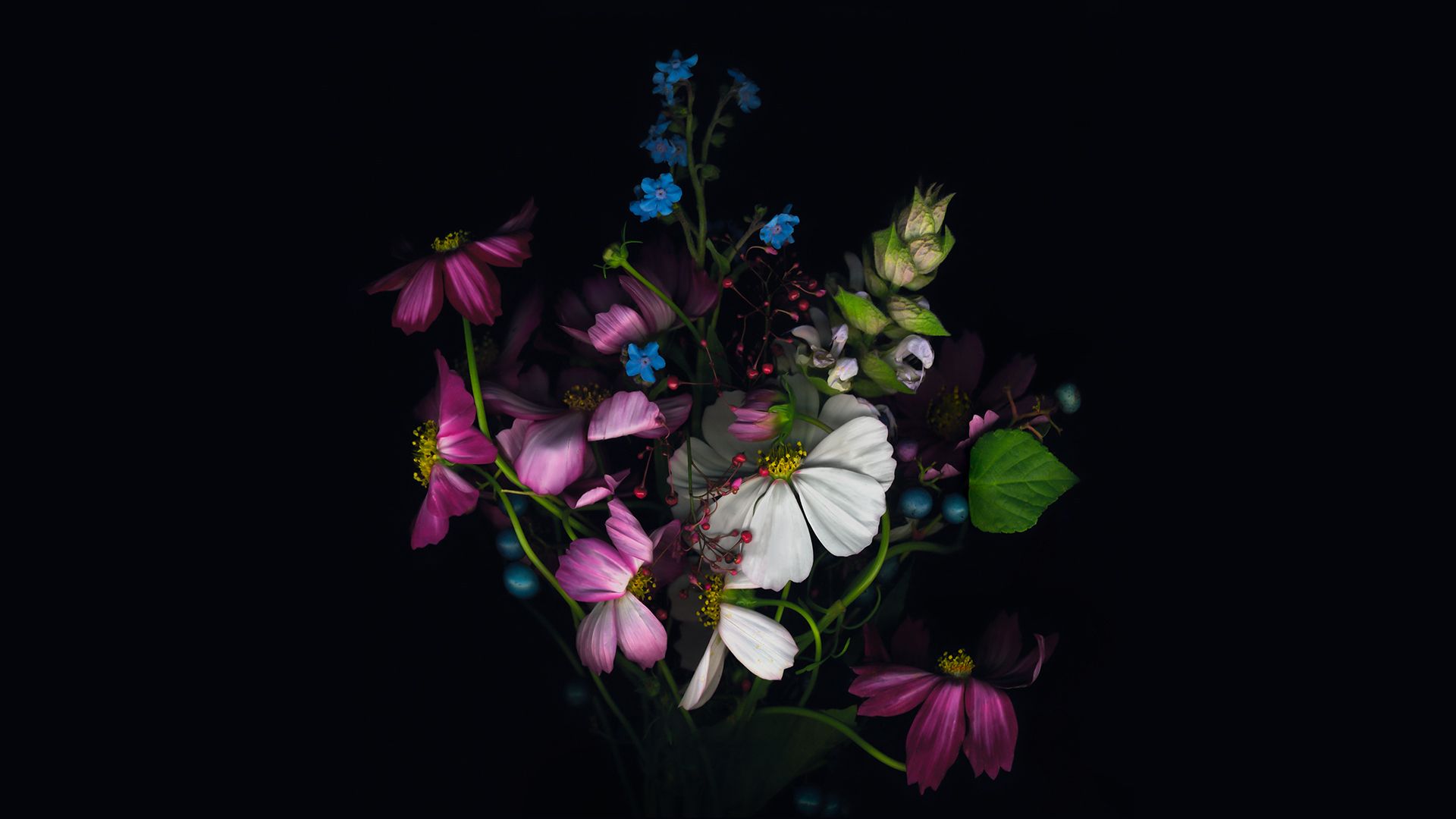 Bouquet fiori su sfondo nero, 1920x1080 Full HD, Desktop