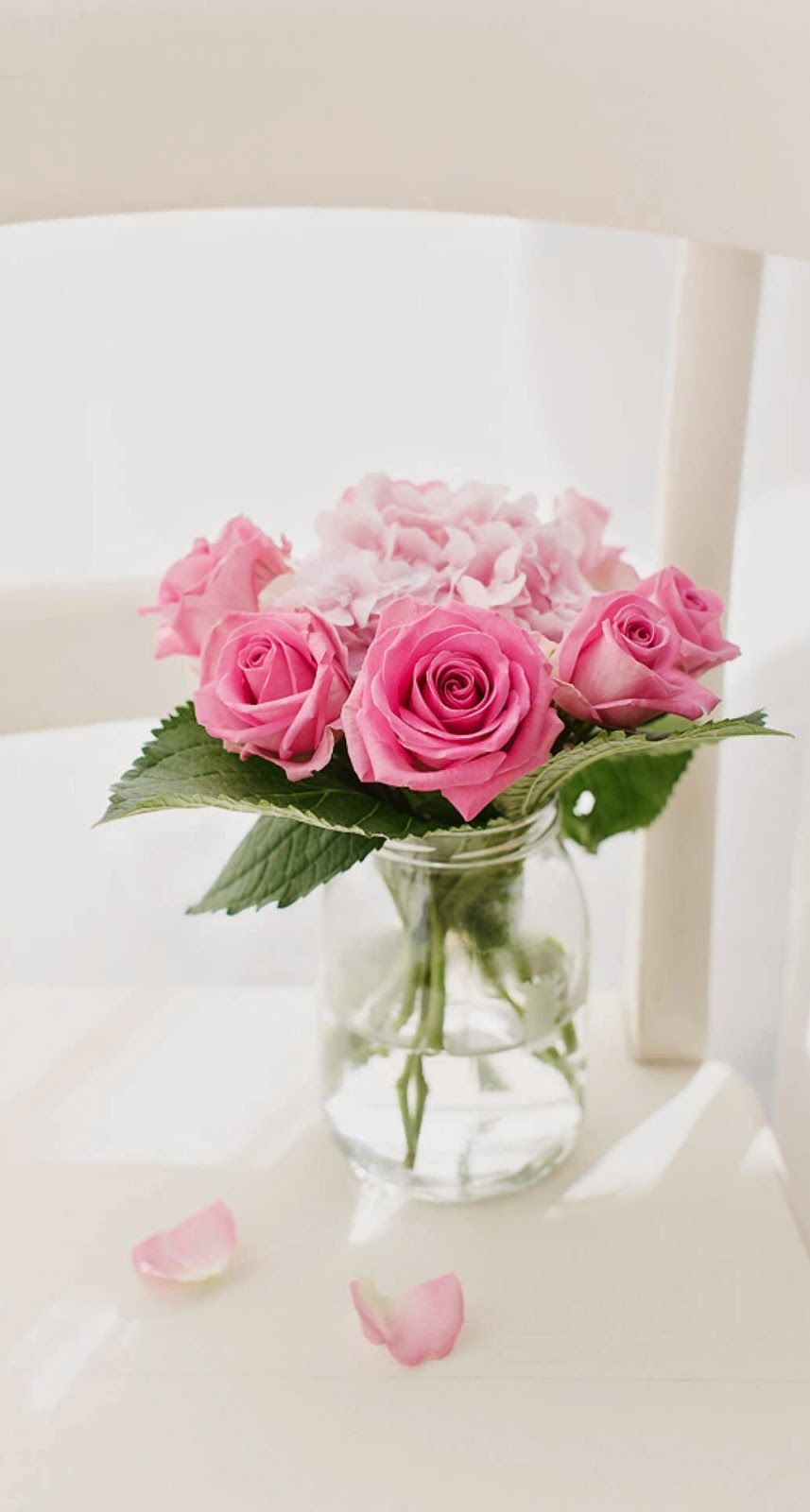 Rose rosa in vaso vetro, 857x1600 Full HD Verticale, iPhone Pro Max