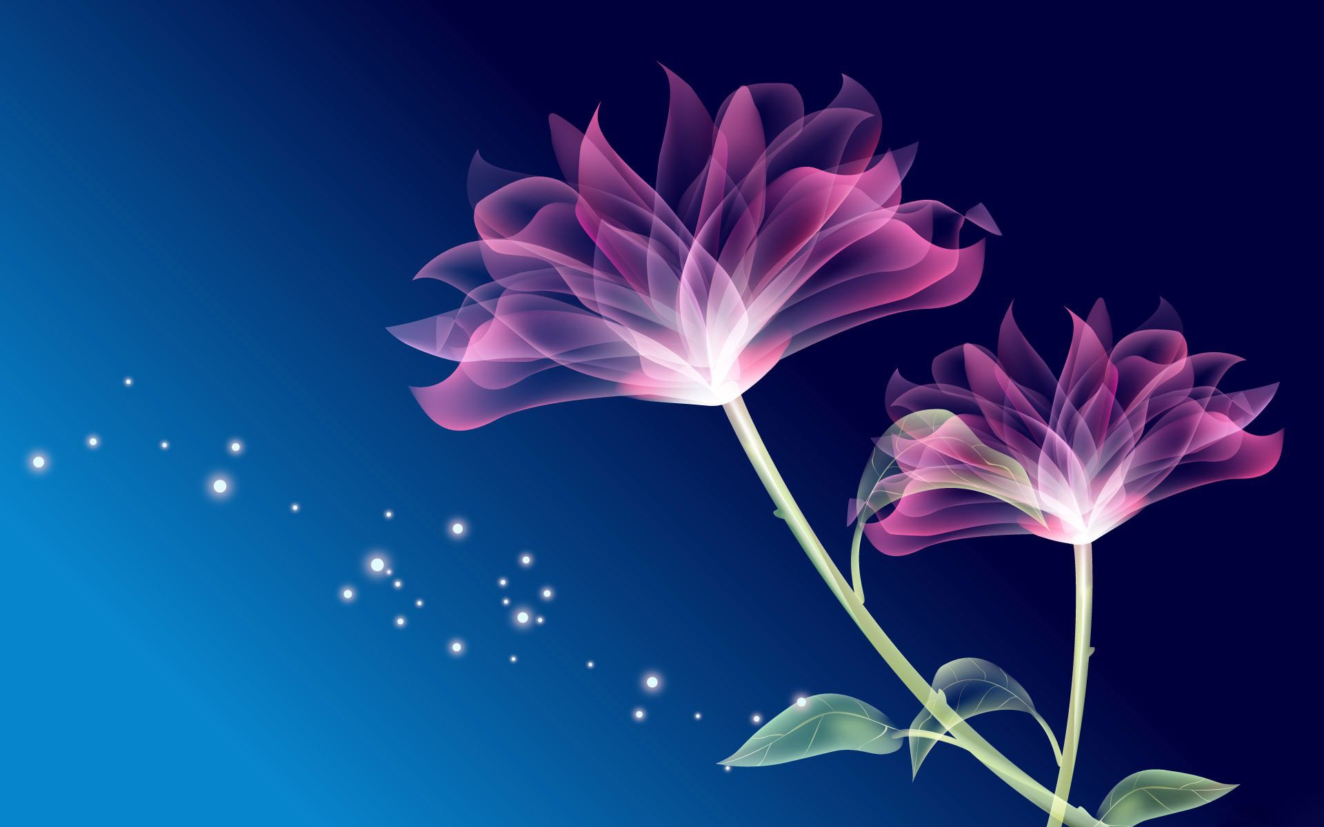 Fiori rosa astratti sfondo blu, 1920x1200 WUXGA, Desktop