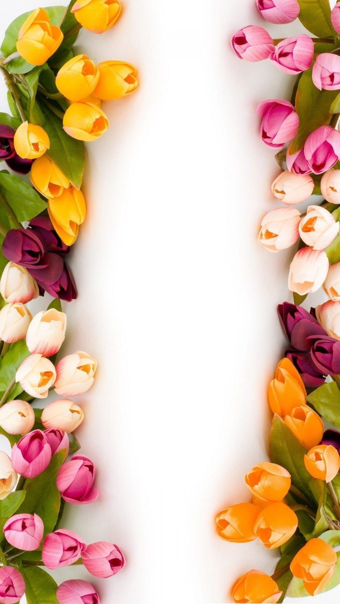 Tulipani colorati su sfondo bianco, 1080x1920 Verticale, Mobile