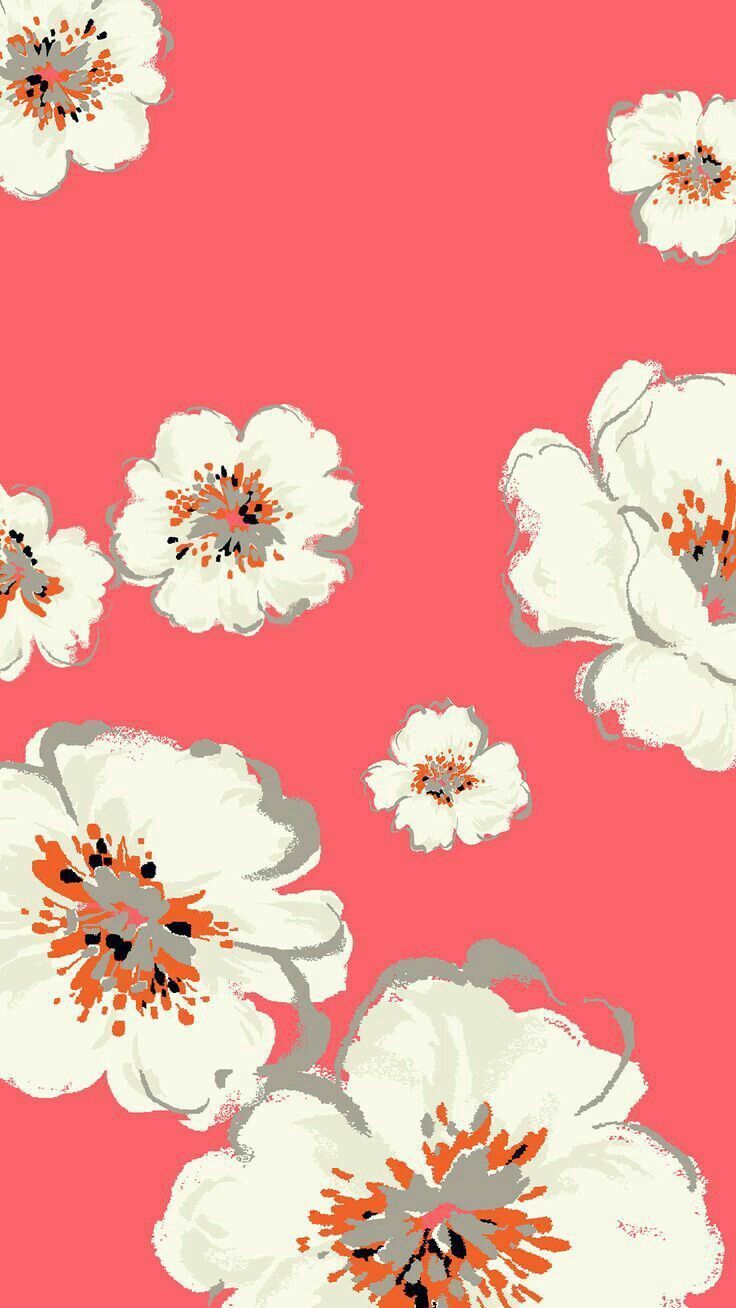 Fiori bianchi sfondo corallo, 736x1308 Verticale, iPhone Pro